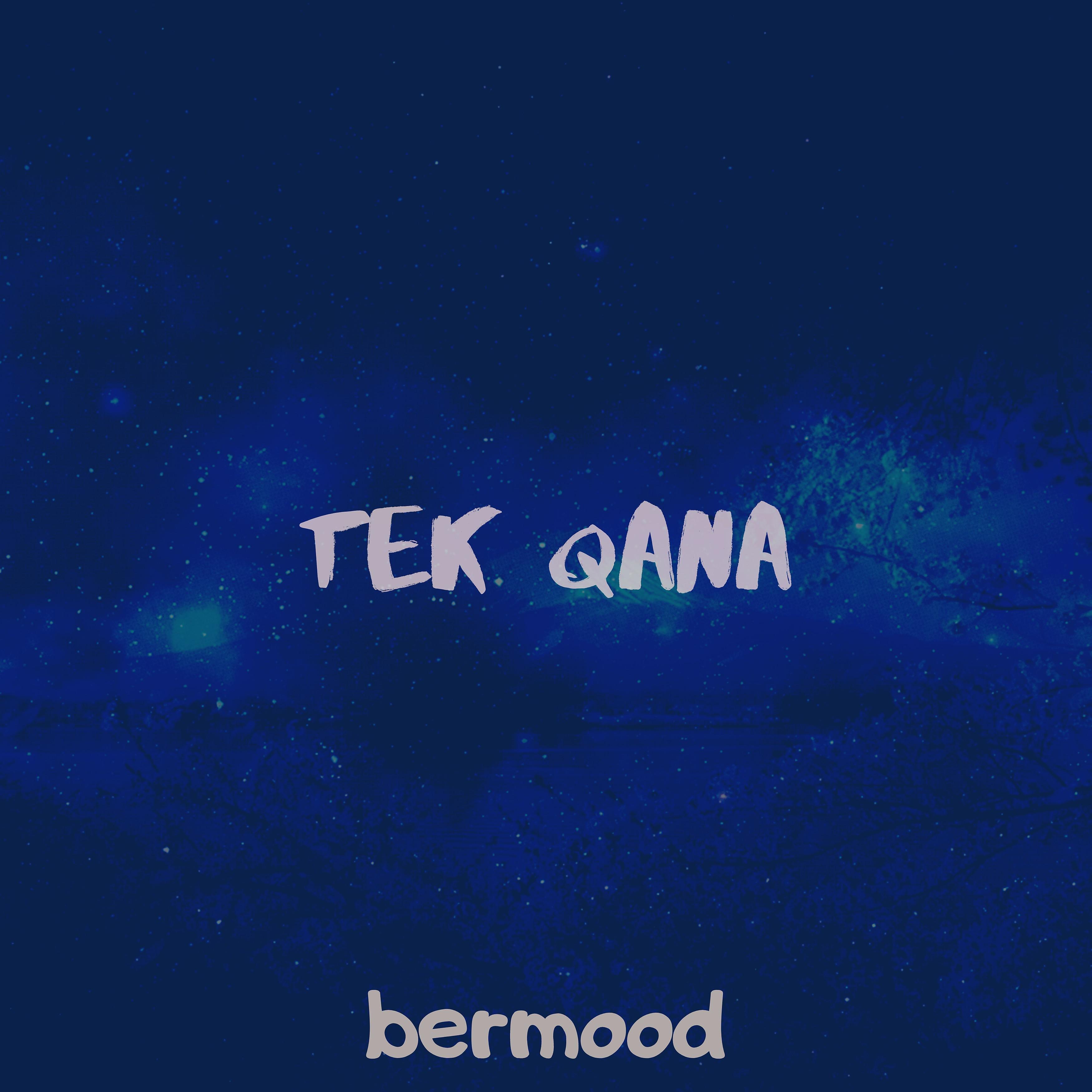 Постер альбома Tek Qana