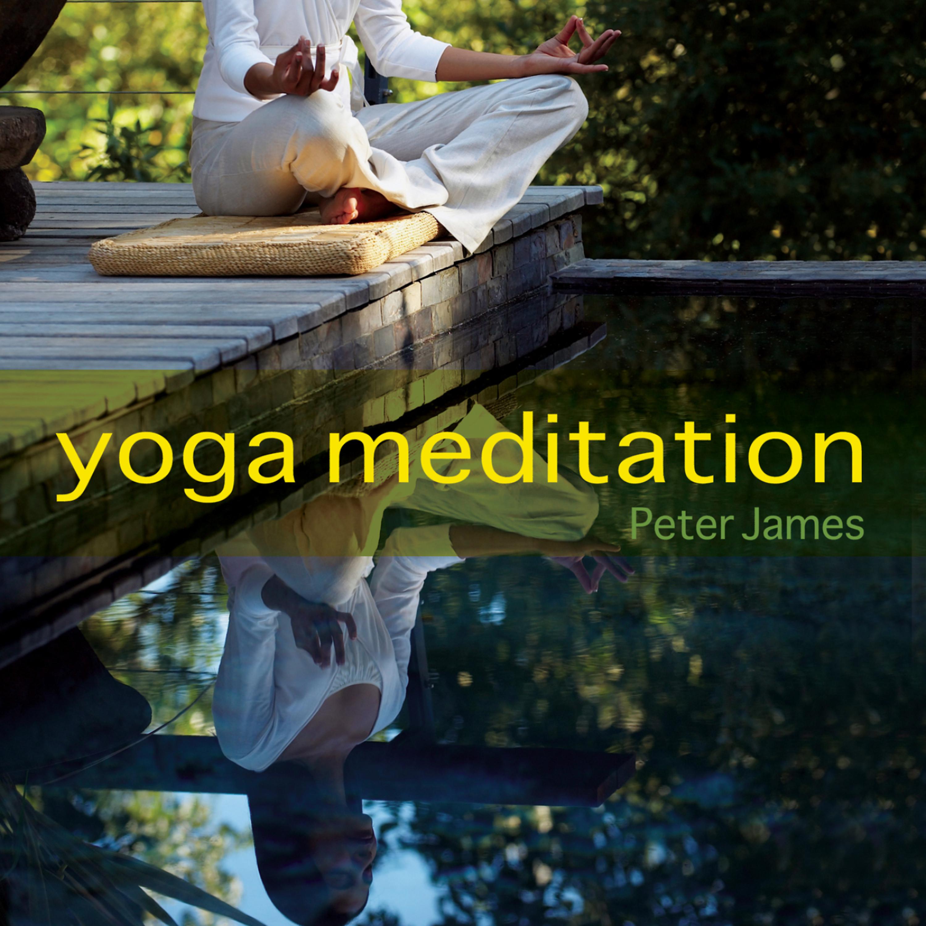Постер альбома Yoga Meditation