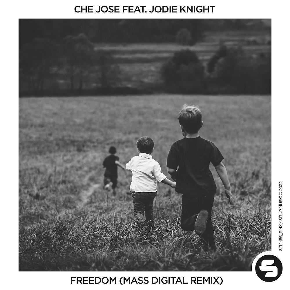 Постер альбома Freedom (Mass Digital Remix)