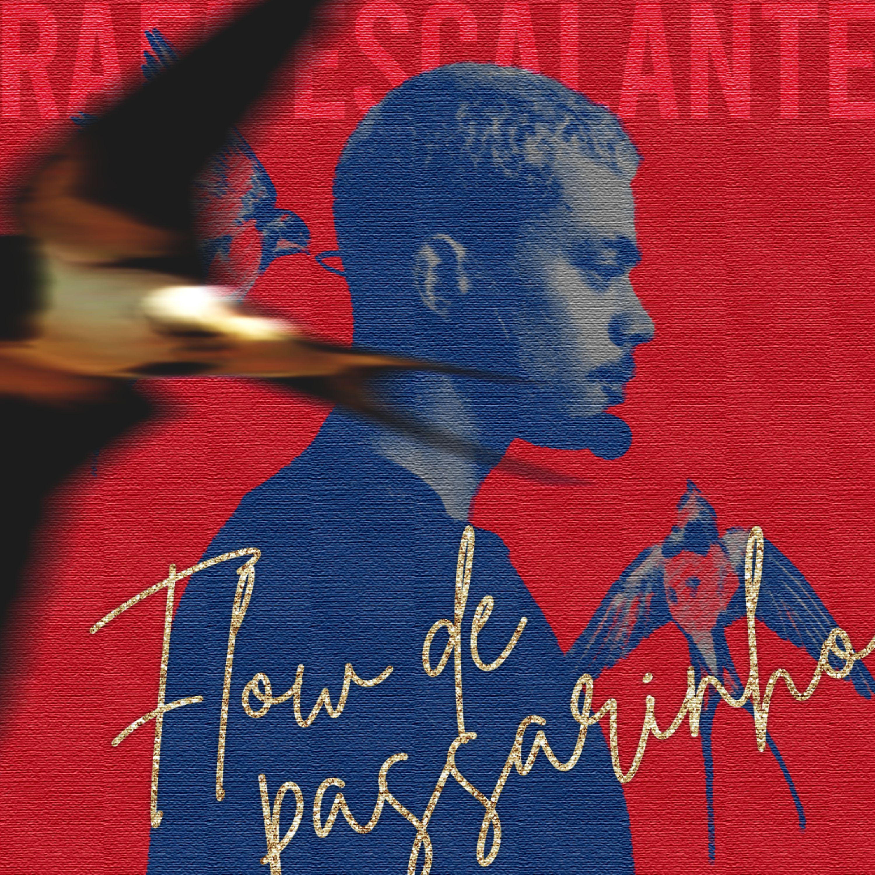 Постер альбома Flow de Passarinho