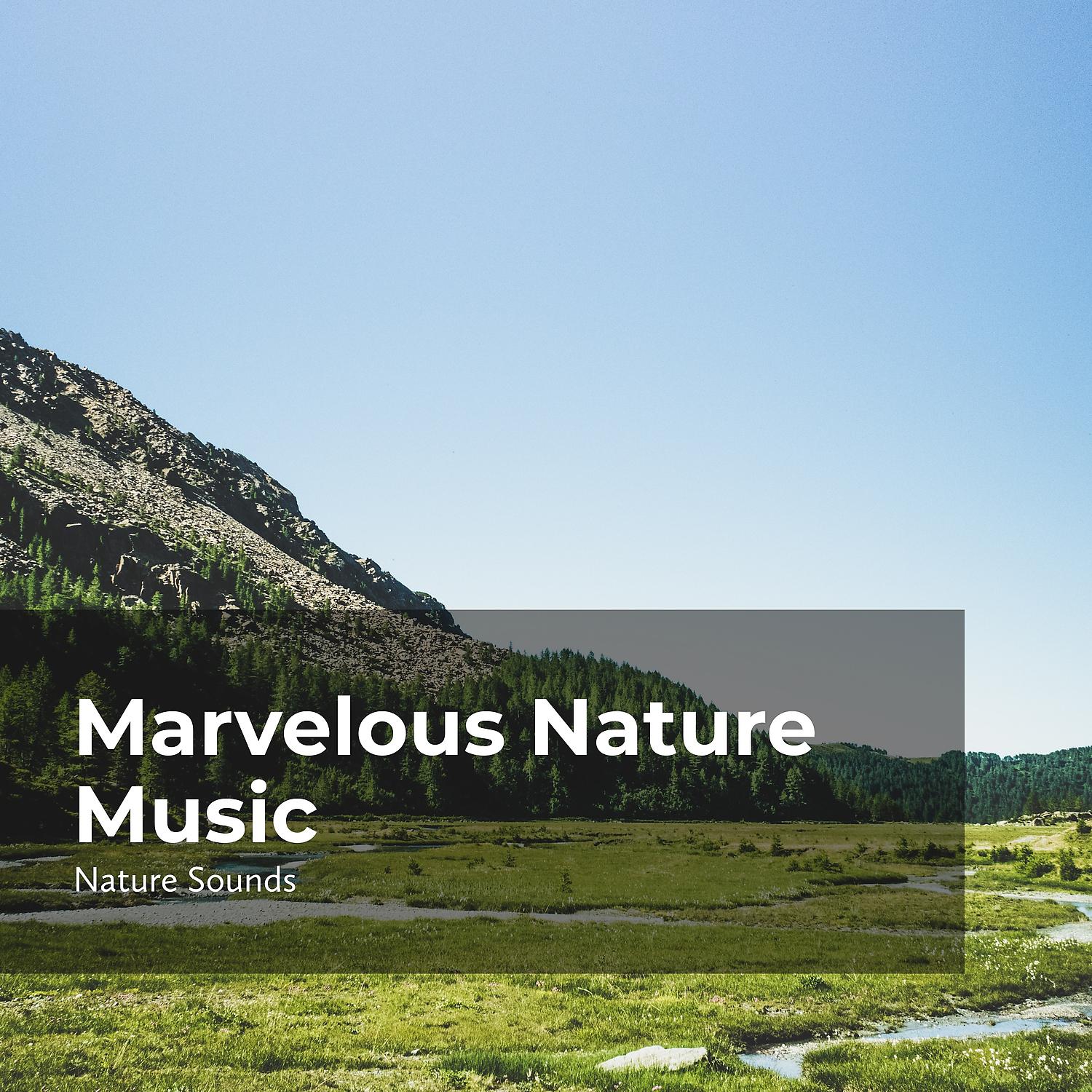 Постер альбома Marvelous Nature Music