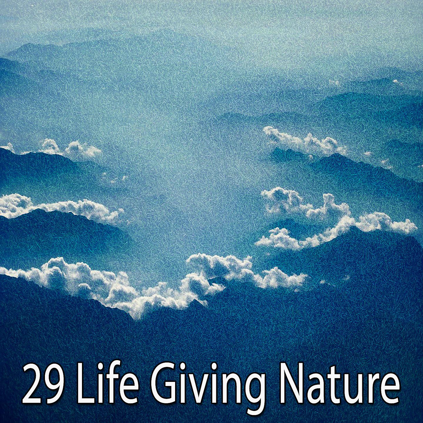 Постер альбома 29 Природа, дающая жизнь