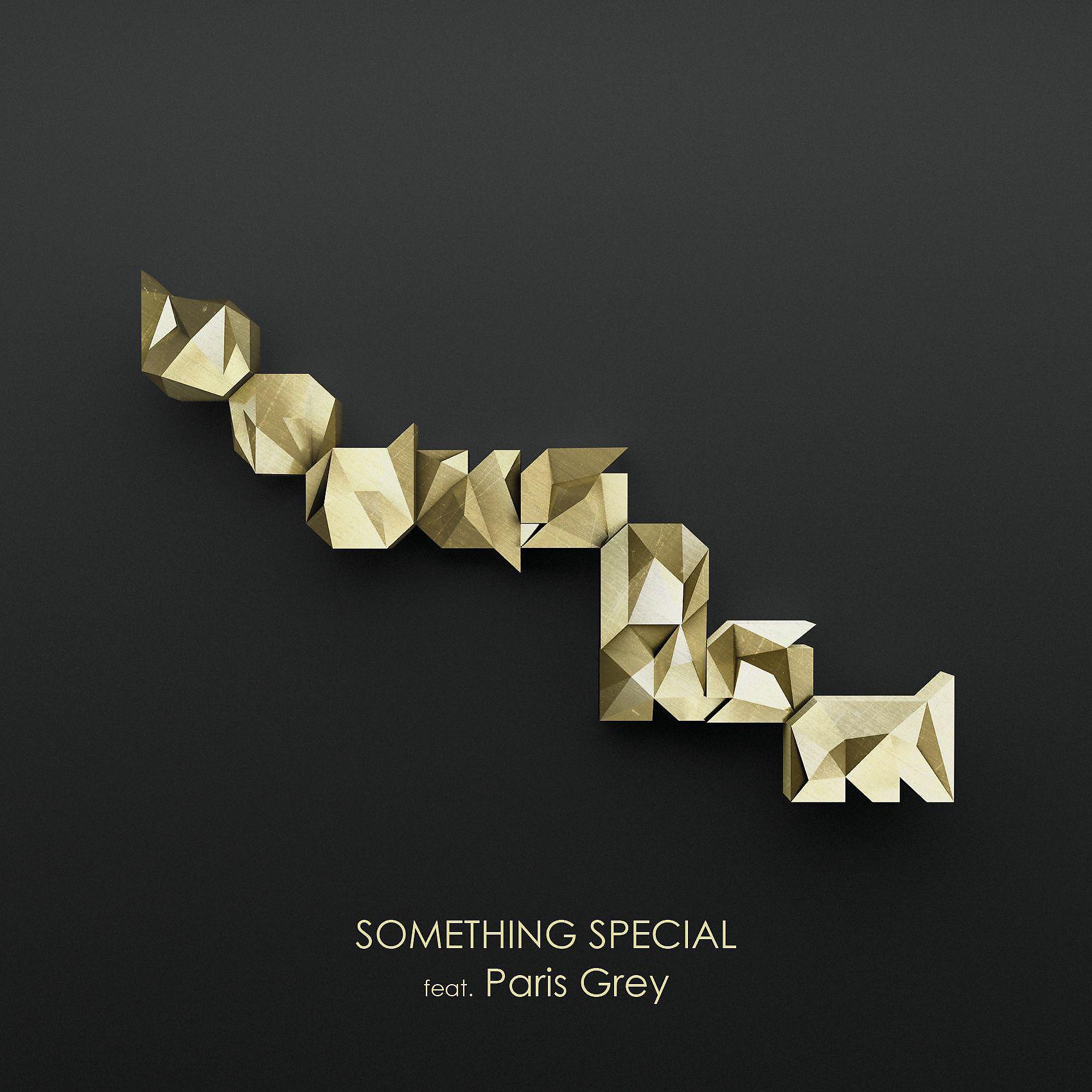Постер альбома Something Special (feat. Paris Grey)