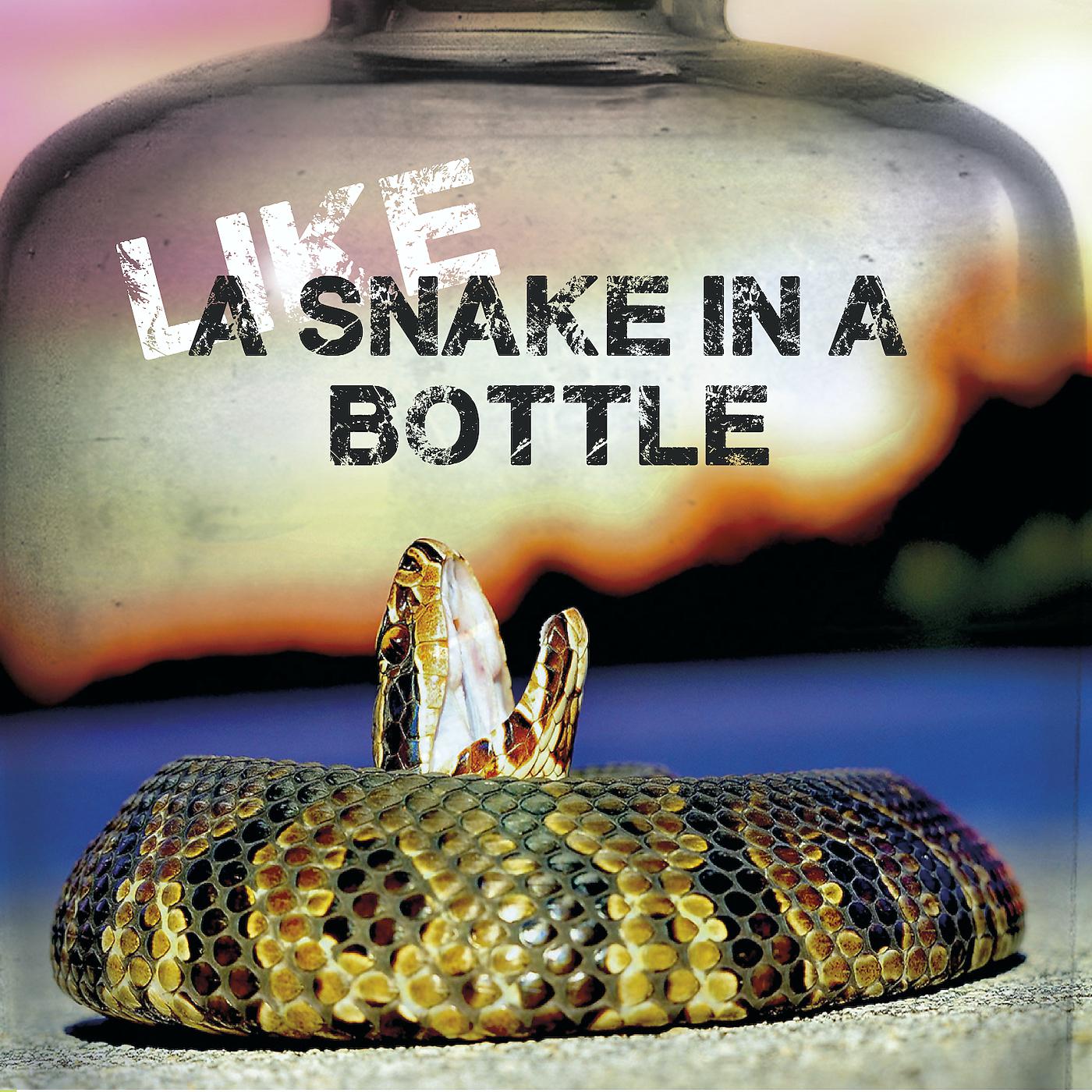 Постер альбома Like a snake in a bottle