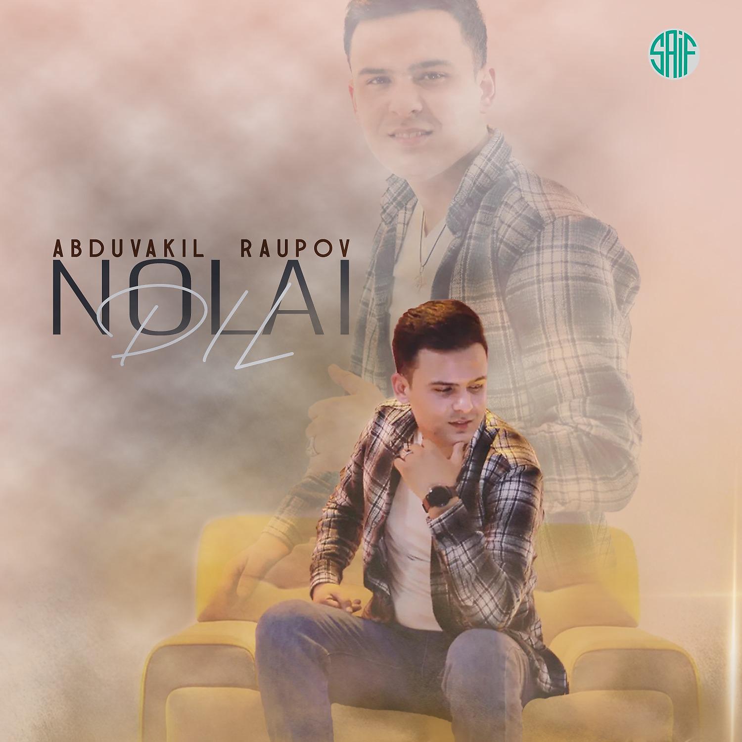 Постер альбома Nolai Dil