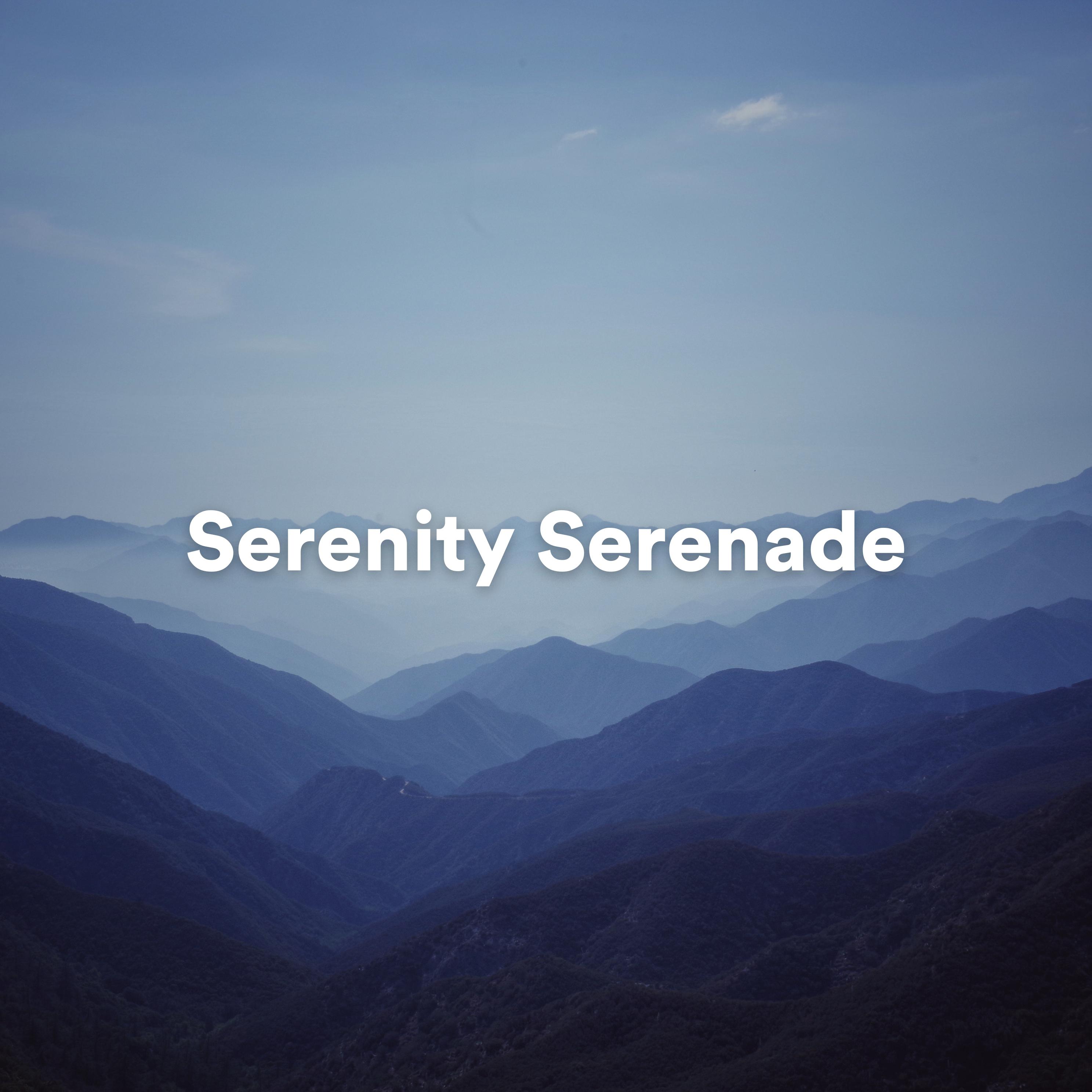 Постер альбома Serenity Serenade: Calming Ambient Melodies for Deep Relaxation