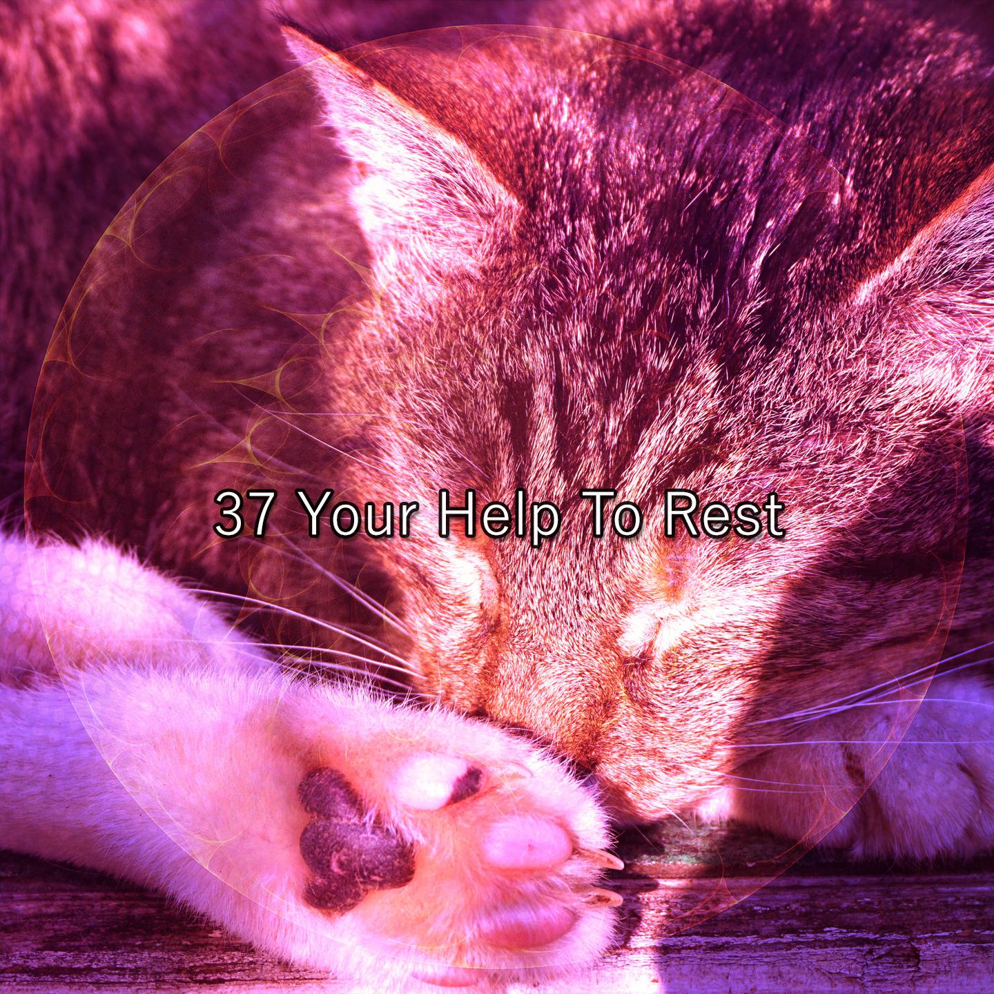 Постер альбома 37 Your Help To Rest