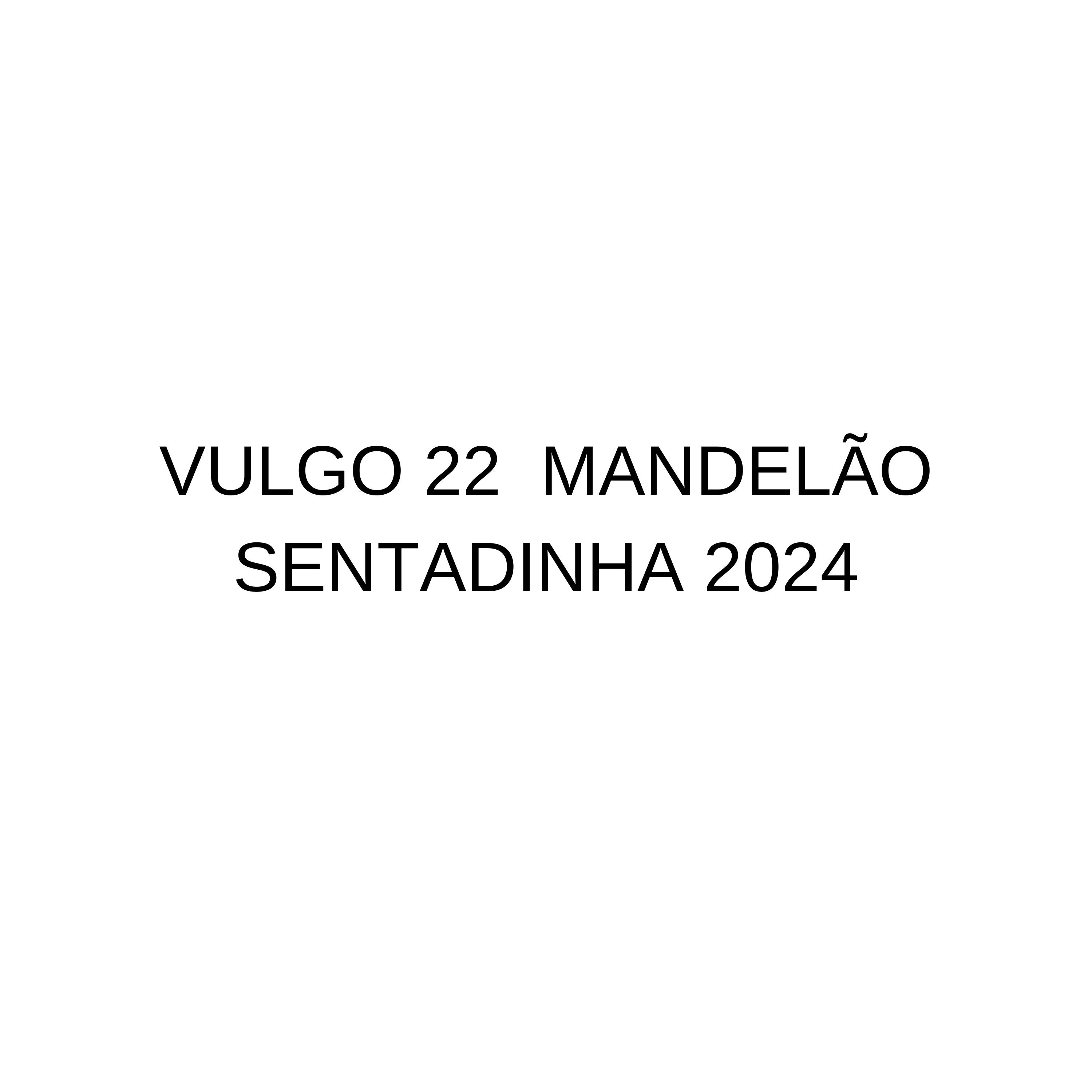 Постер альбома Vulgo 22  Mandelão Sentadinha 2024