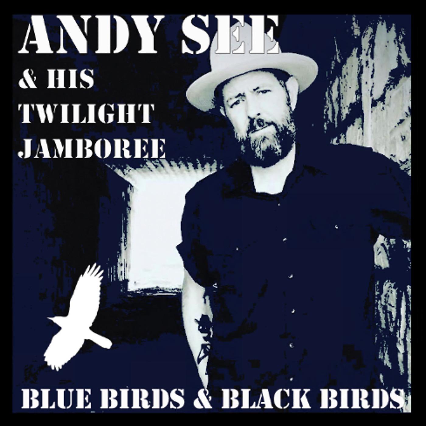 Постер альбома Blue Birds & Black Birds