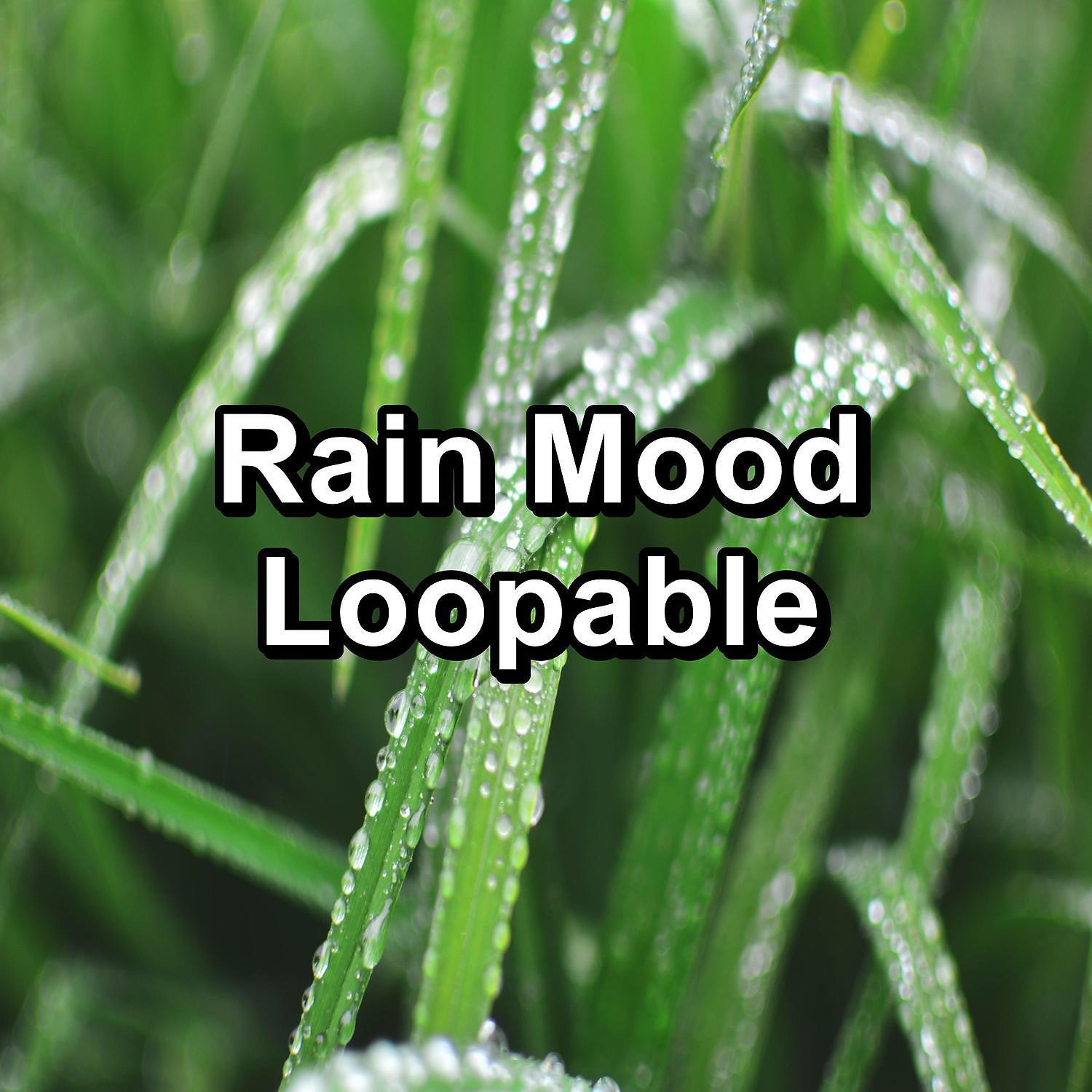 Постер альбома Rain Mood Loopable