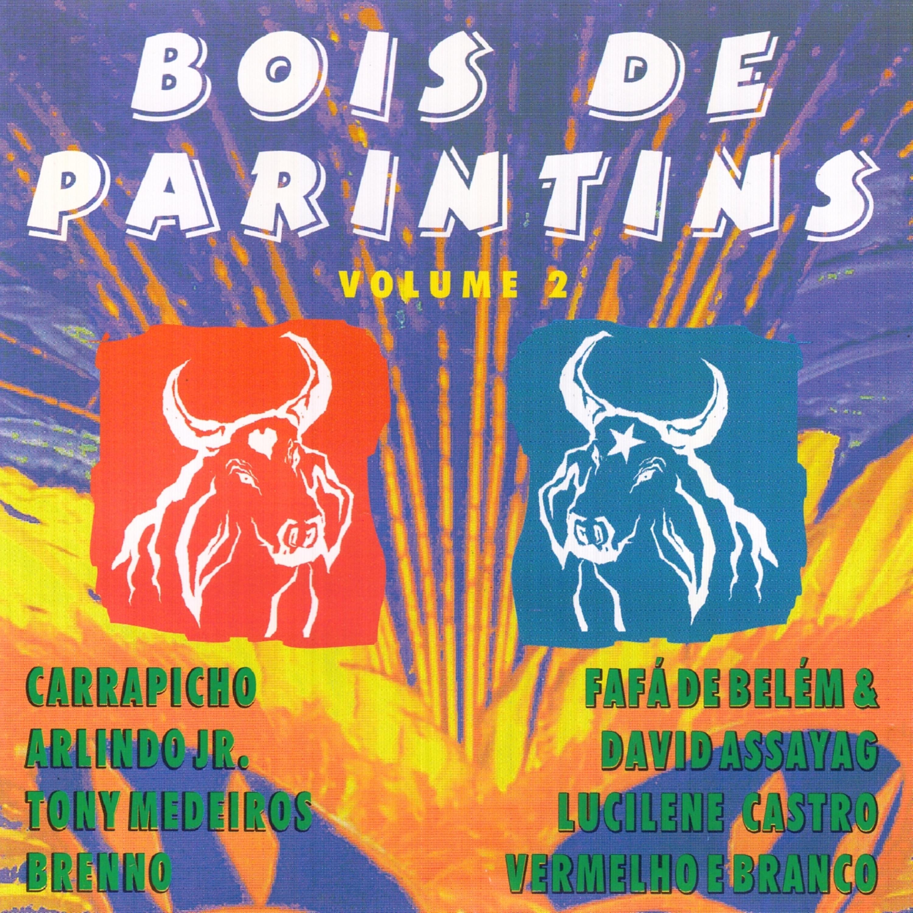 Постер альбома Bois de Parintins , Vol 2