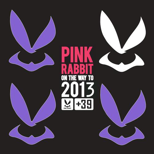 Постер альбома A Pink Rabbit On the Way to 2013