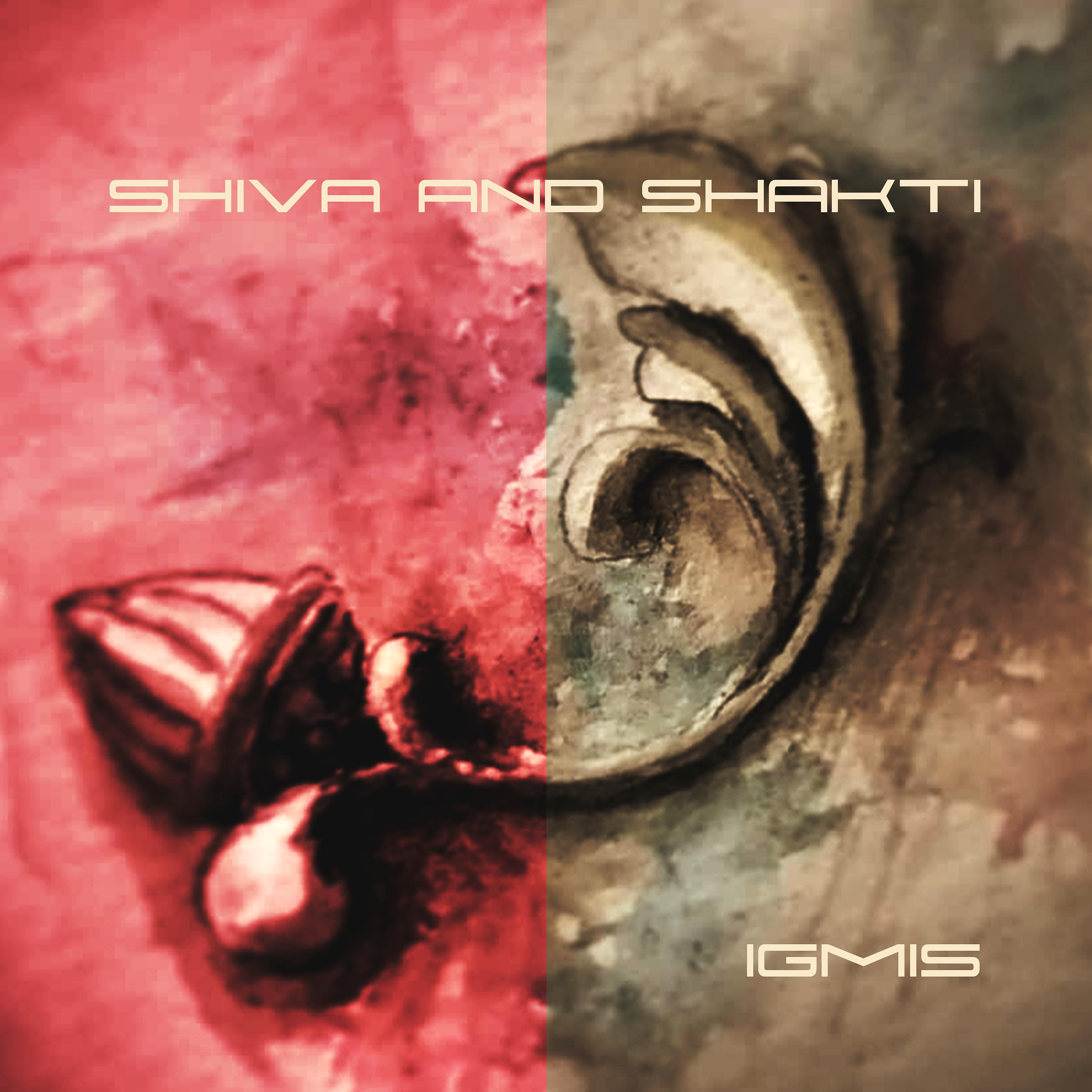 Постер альбома Shiva and Shakti