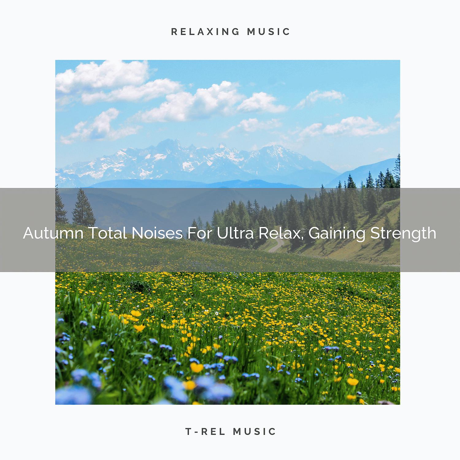 Постер альбома Autumn Total Noises For Ultra Relax, Gaining Strength