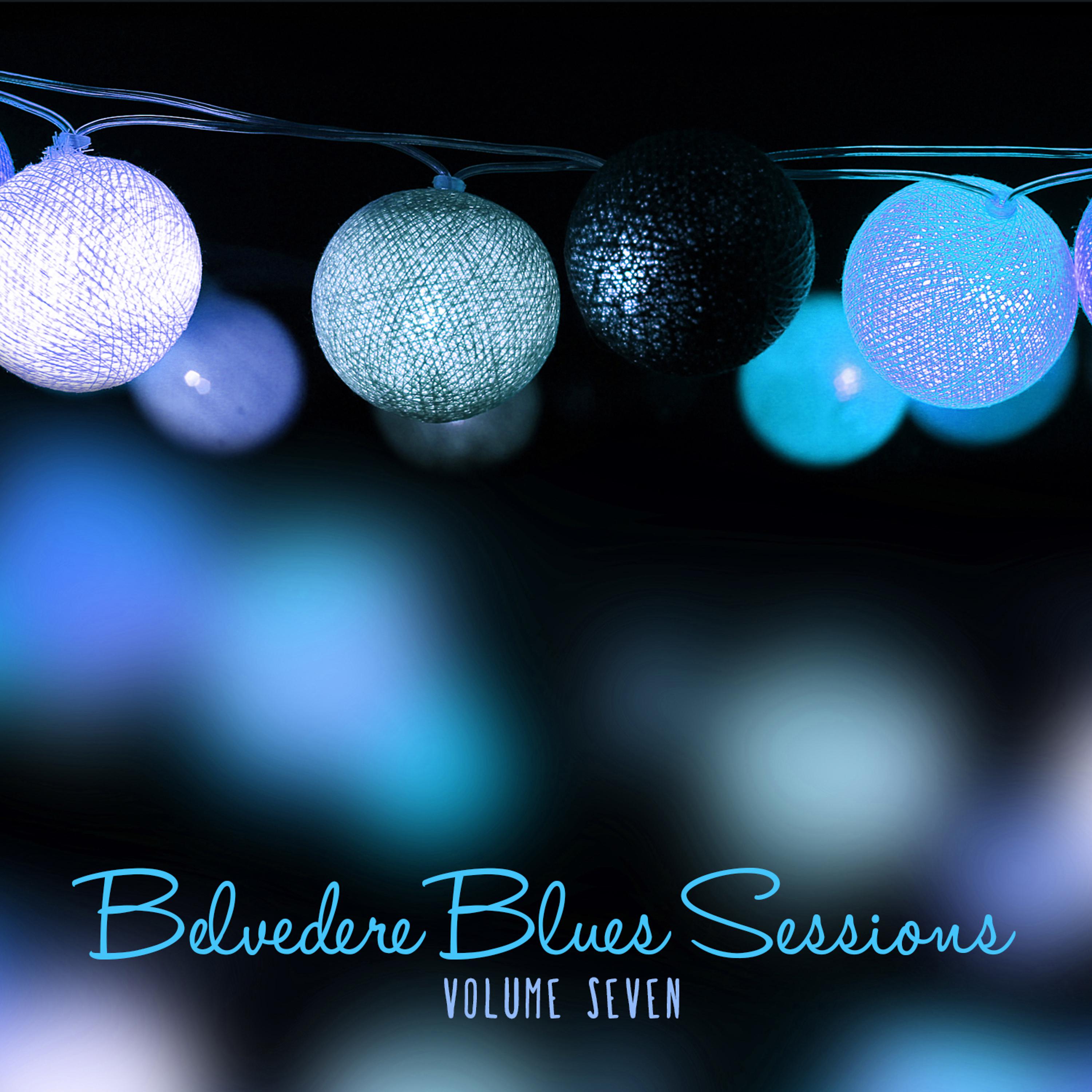 Постер альбома Belvedere Gardens: The Blues Sessions, Vol. 7