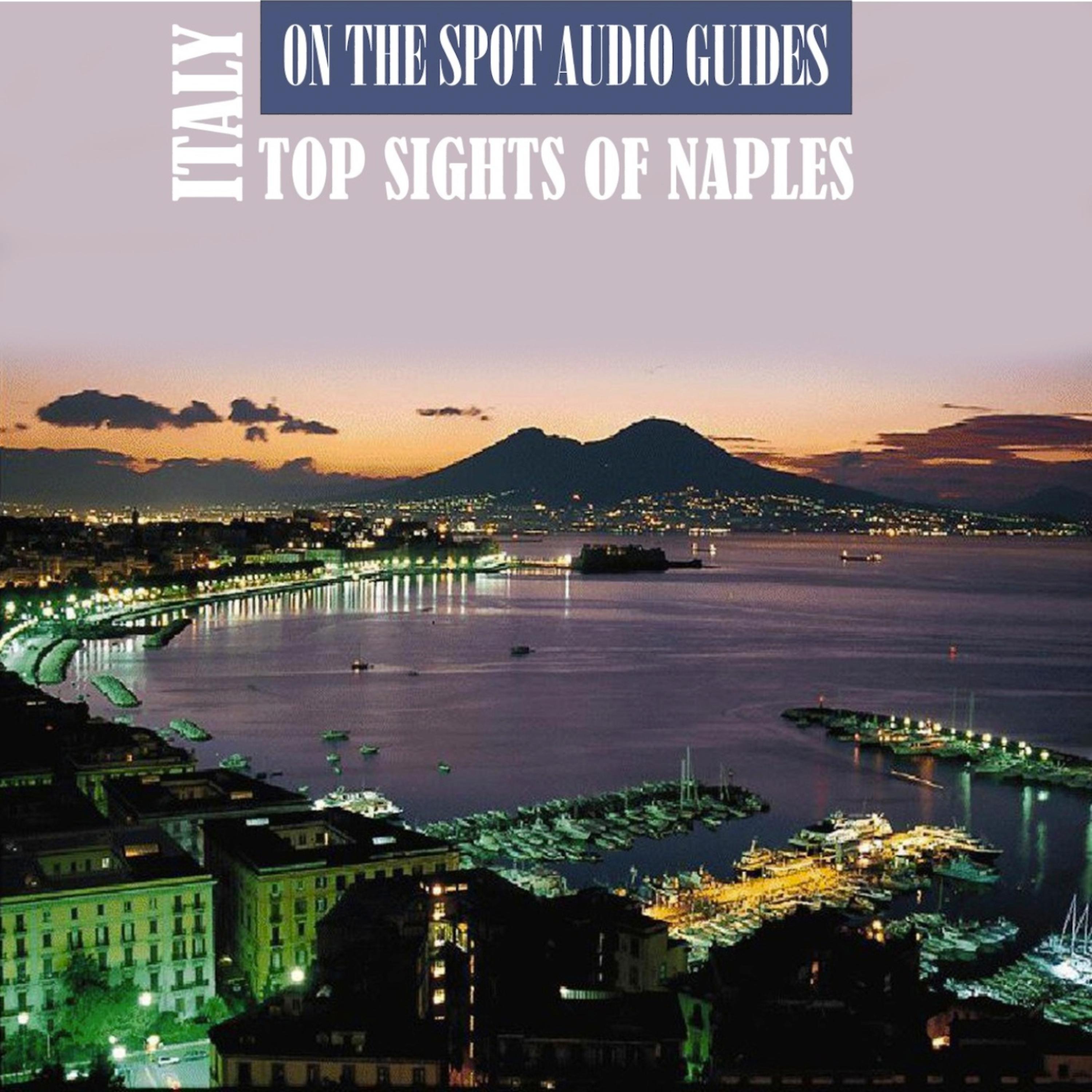 Постер альбома Italy: Top Sights of Naples