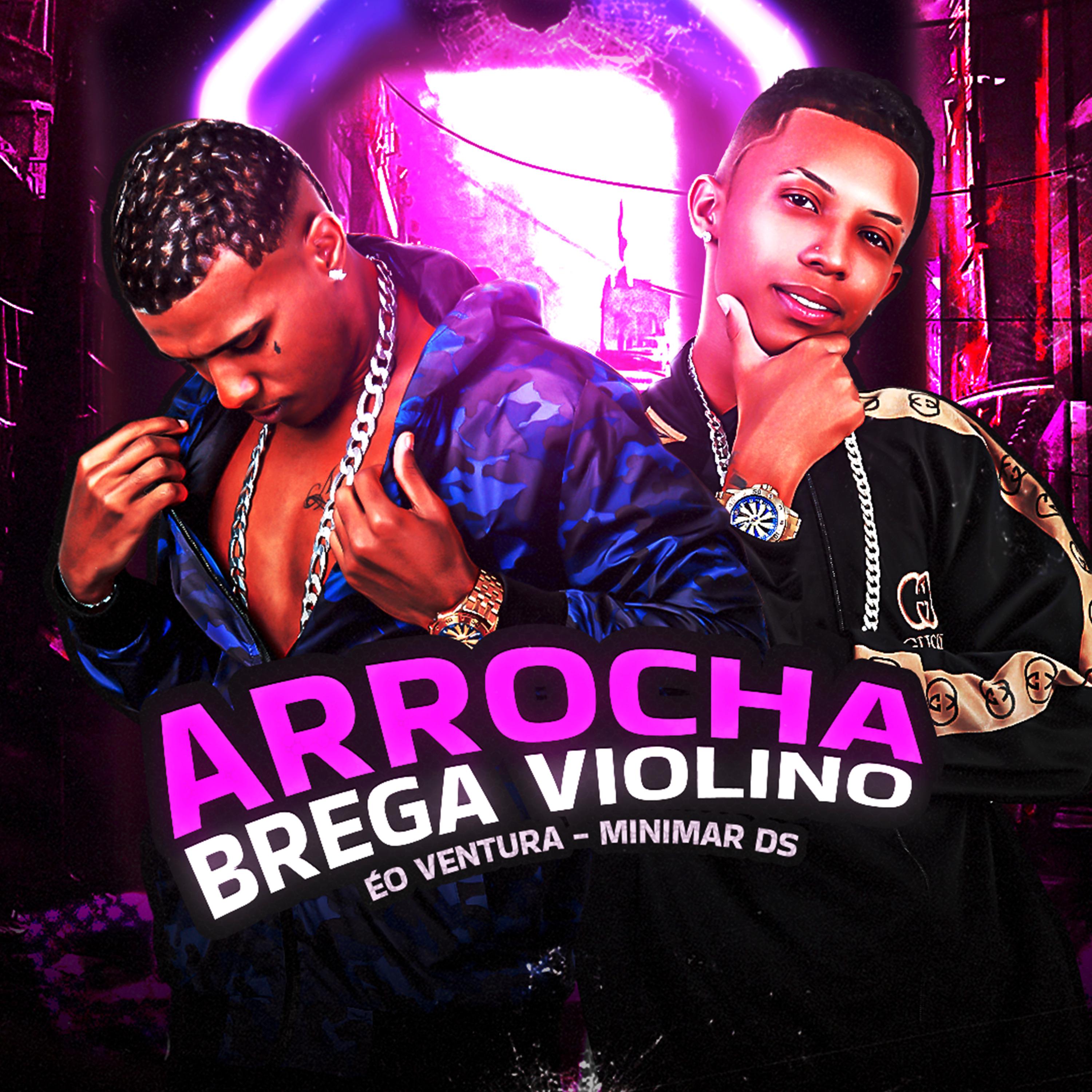 Постер альбома Arrocha Brega Violino