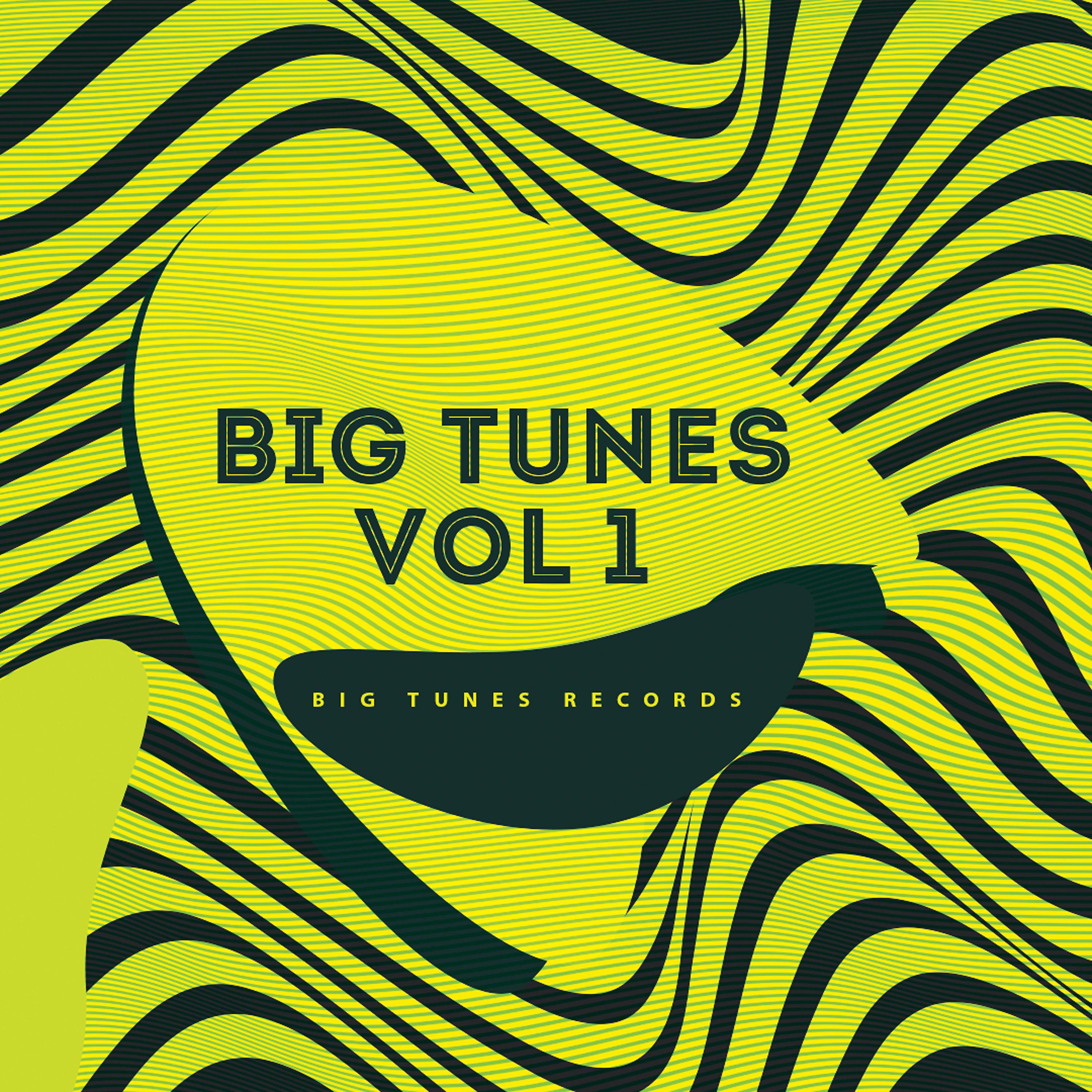 Постер альбома Big Tunes Vol 1
