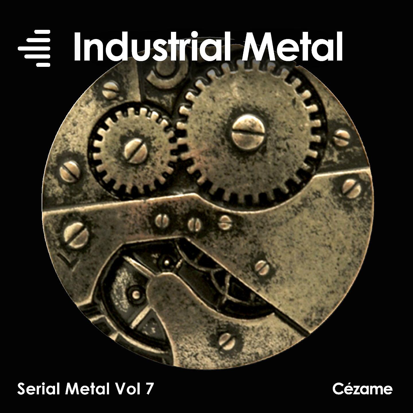 Постер альбома Serial Metal, Vol. 7