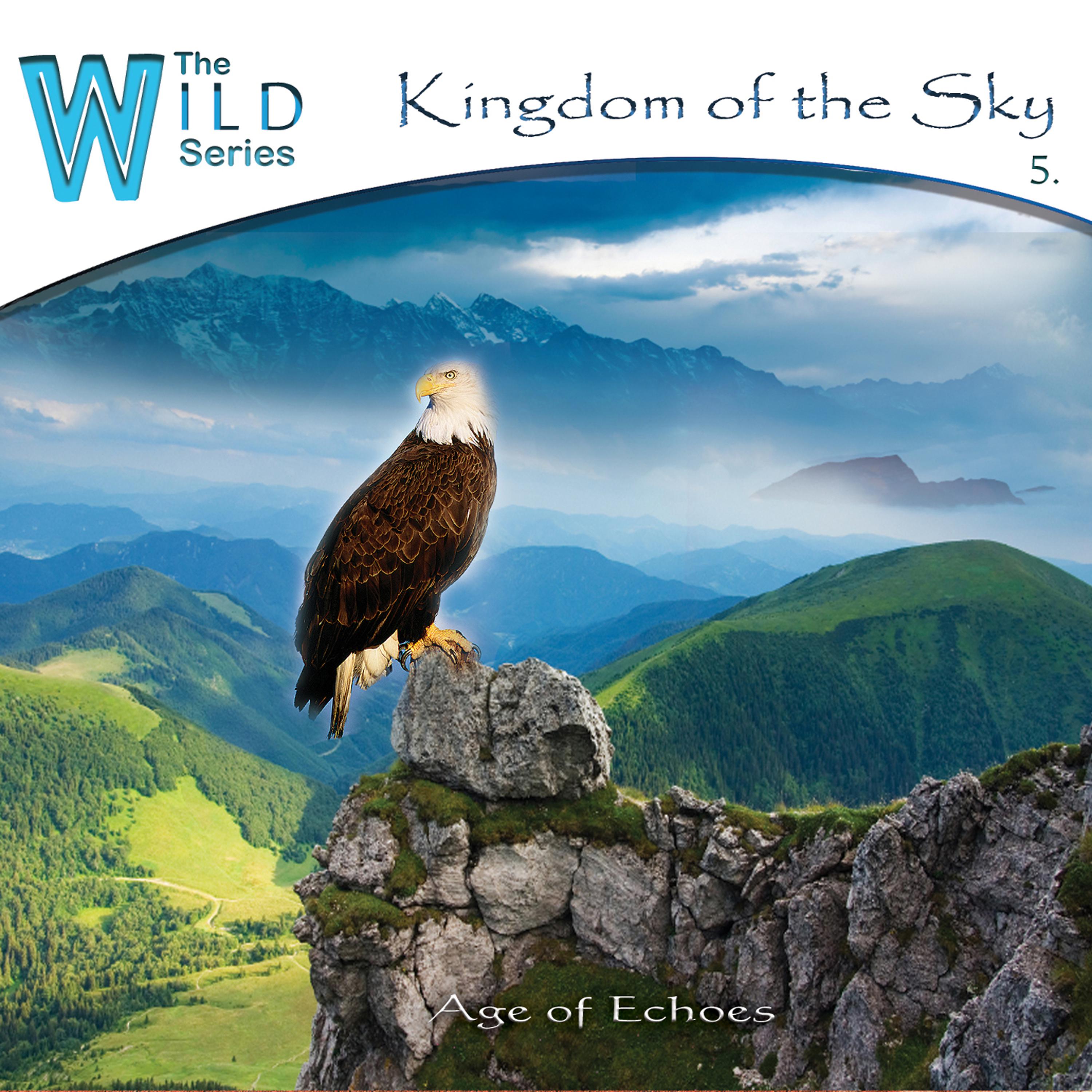 Постер альбома Kingdom of the Sky