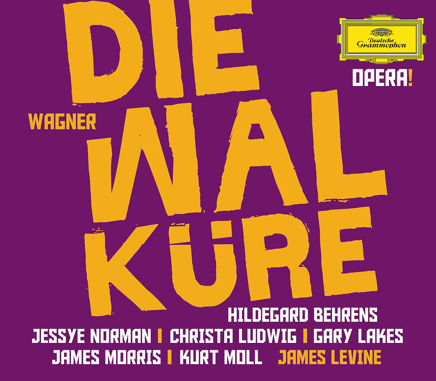 Постер альбома Wagner: Die Walküre
