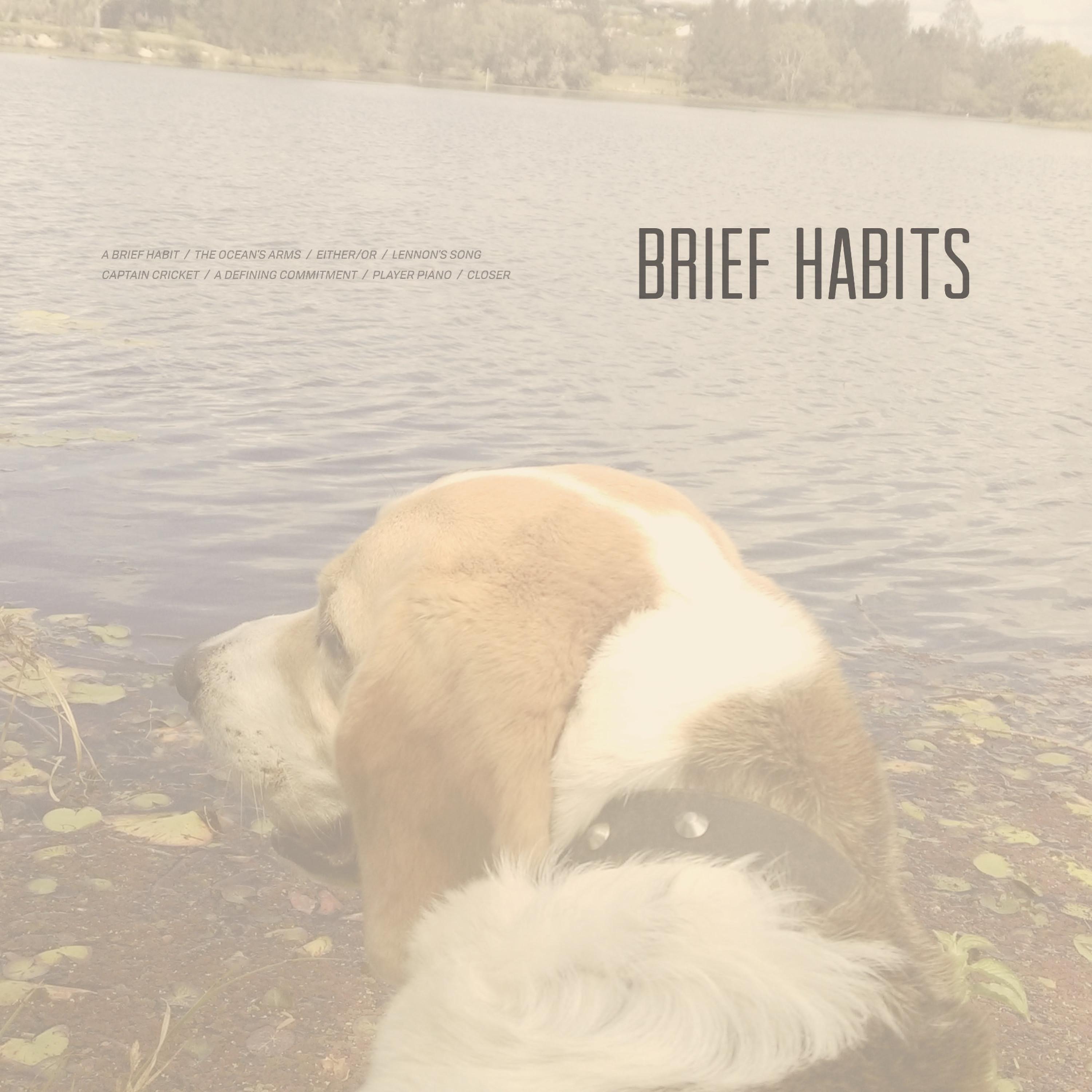 Постер альбома Brief Habits