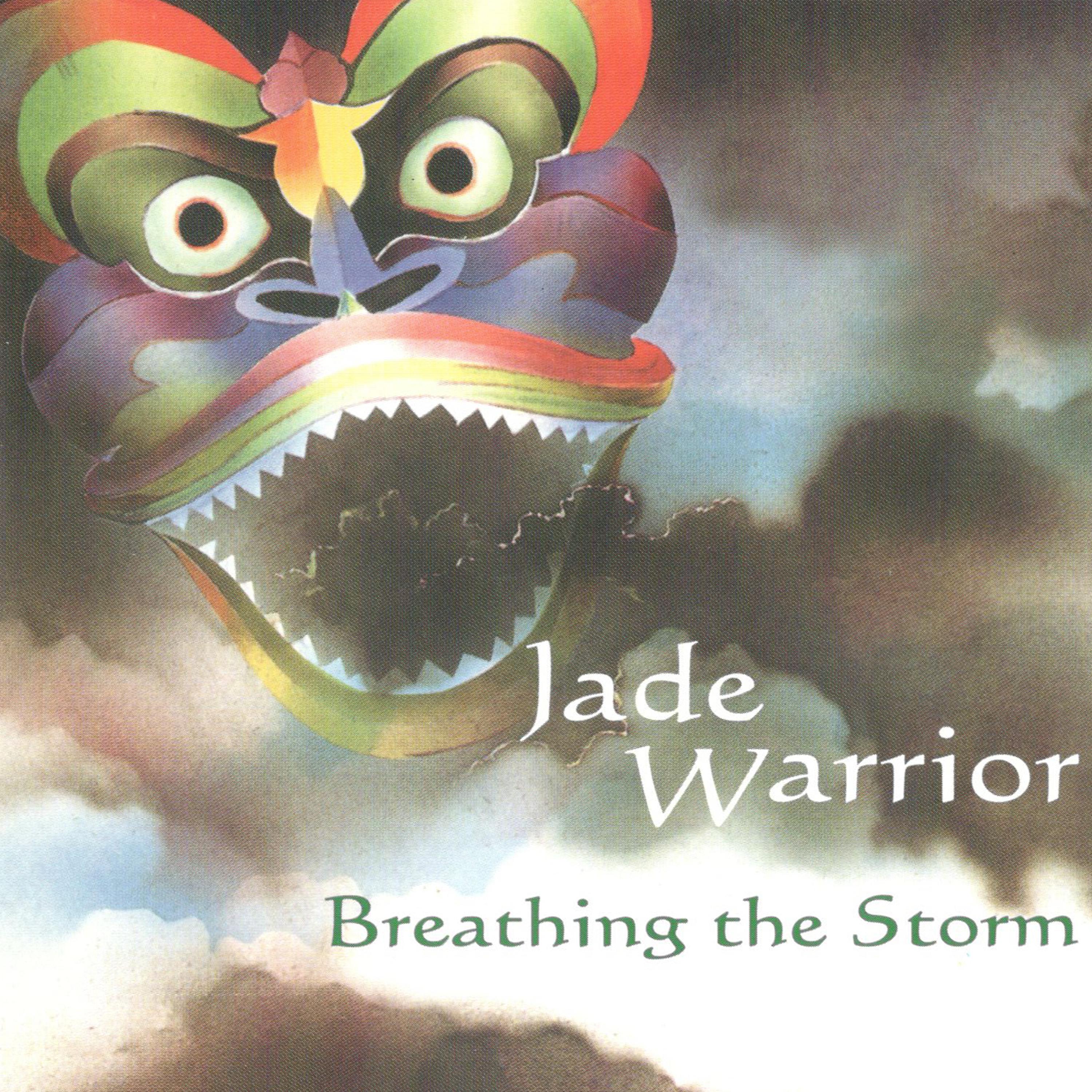 Постер альбома Breathing The Storm