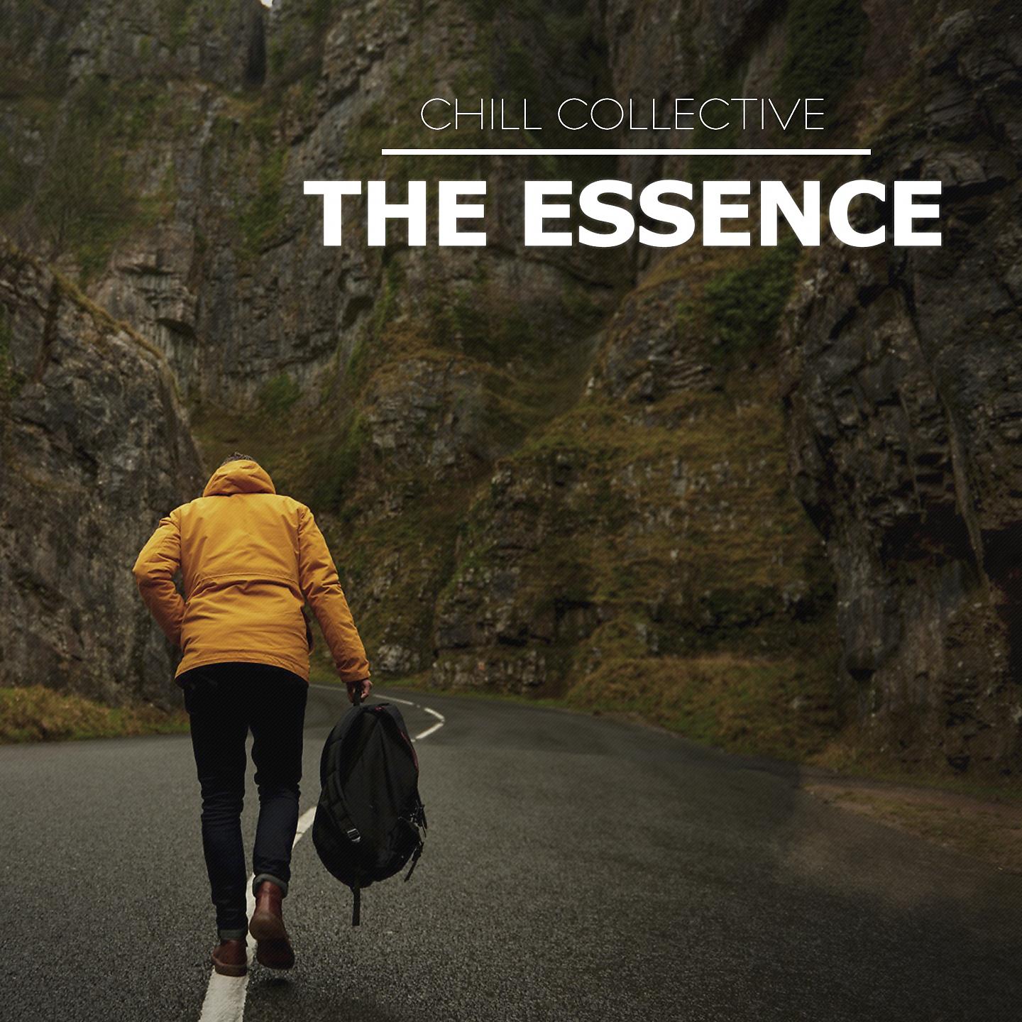 Постер альбома The Essence
