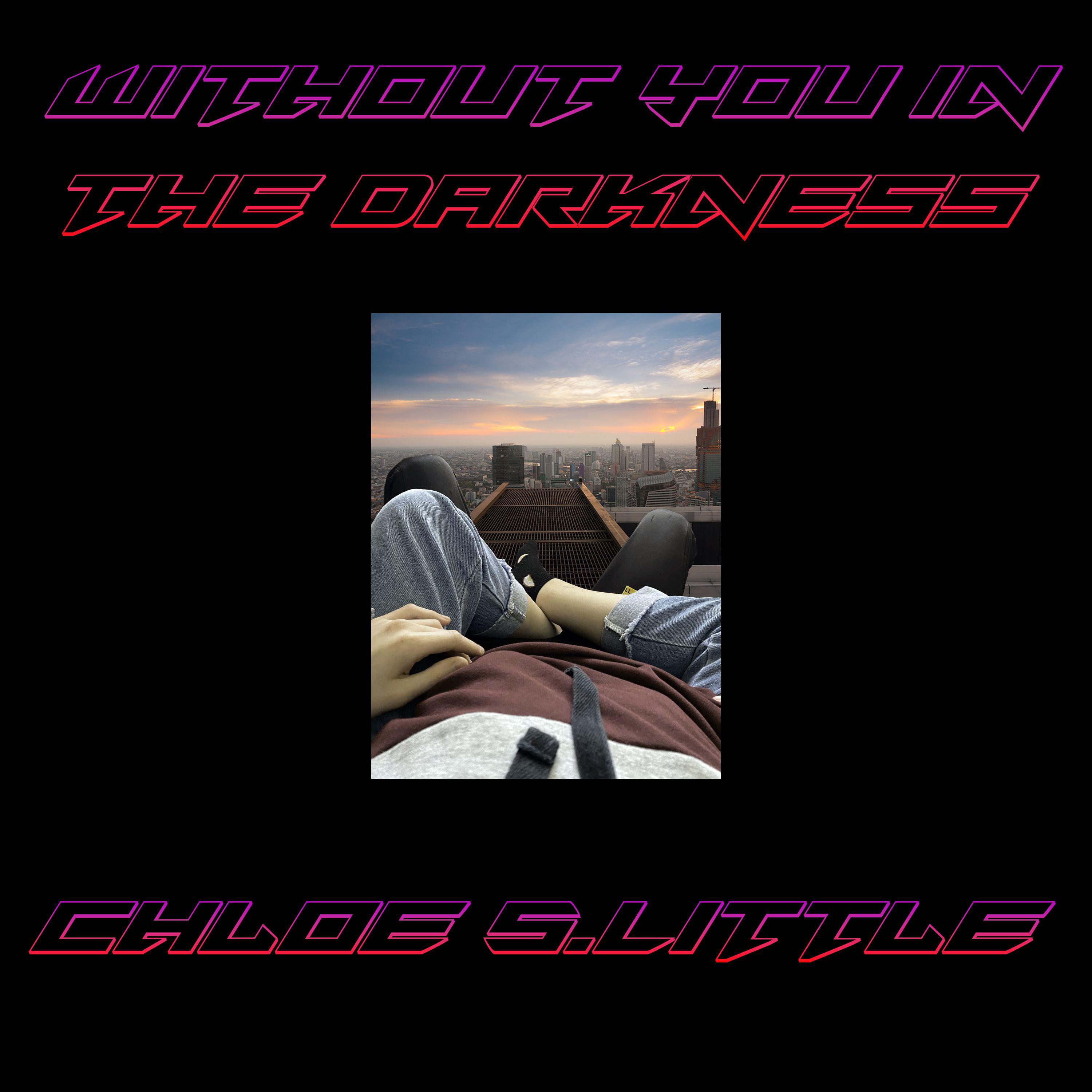 Постер альбома Without you in the darkness