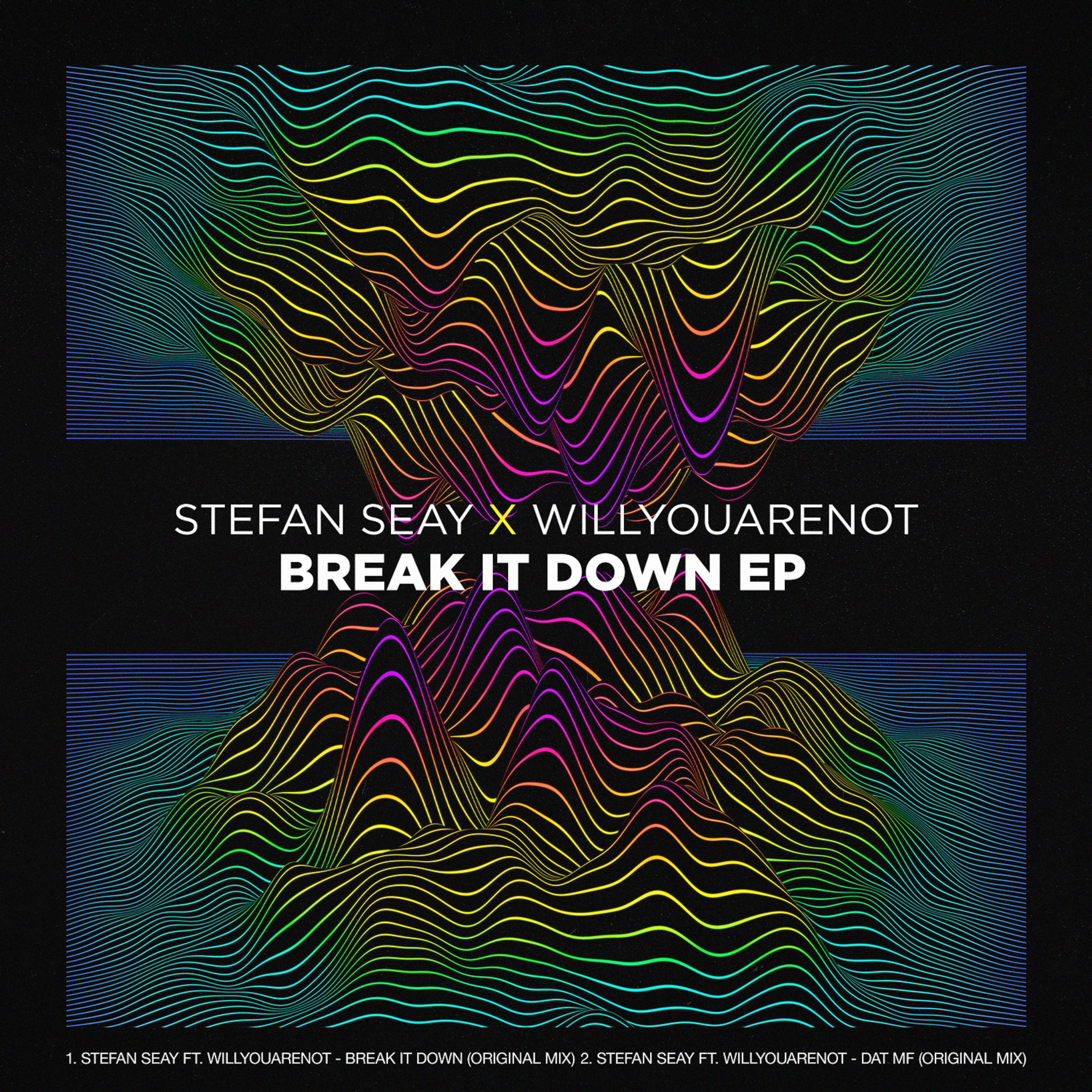 Постер альбома Break It Down (feat. Willyouarenot)