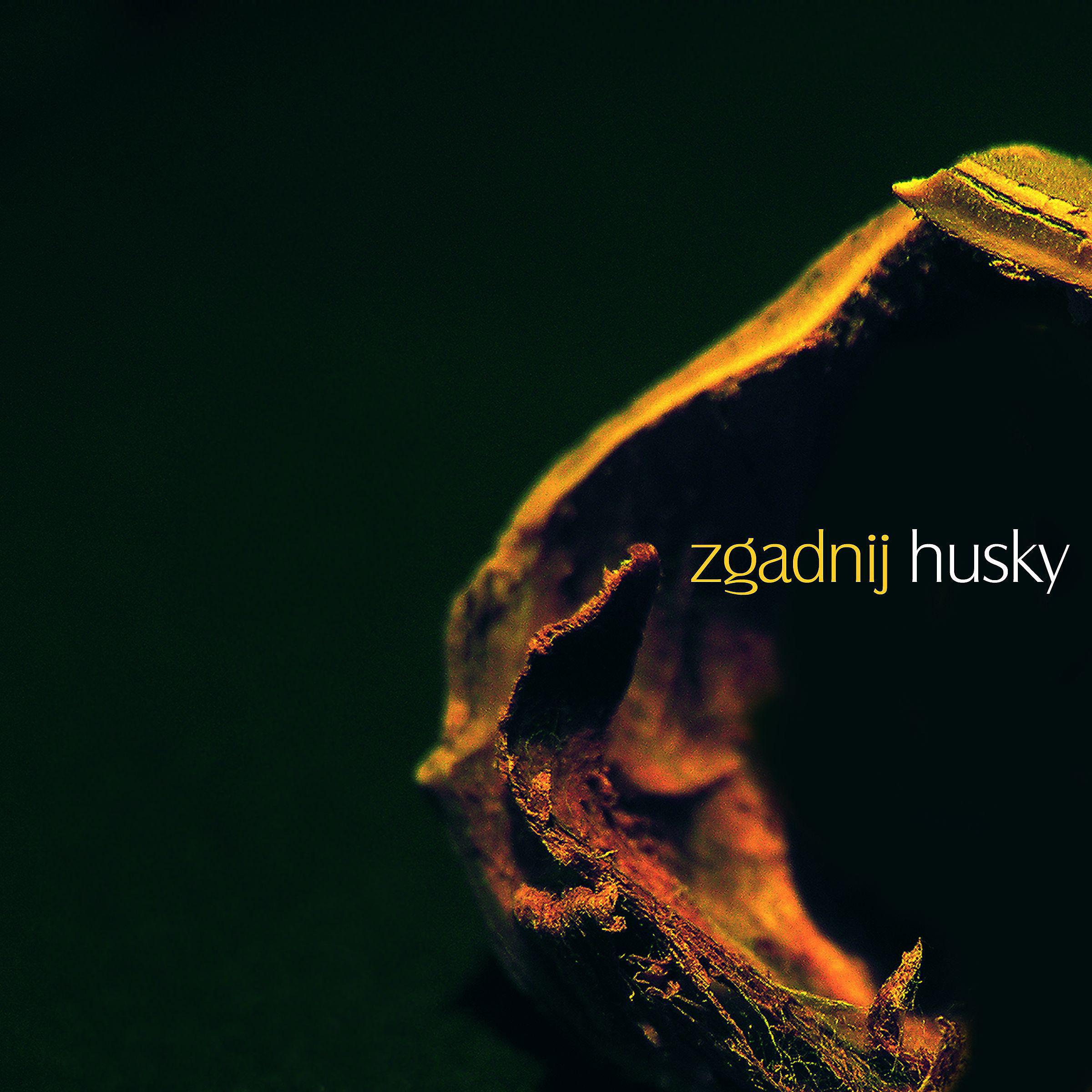 Постер альбома Zgadnij
