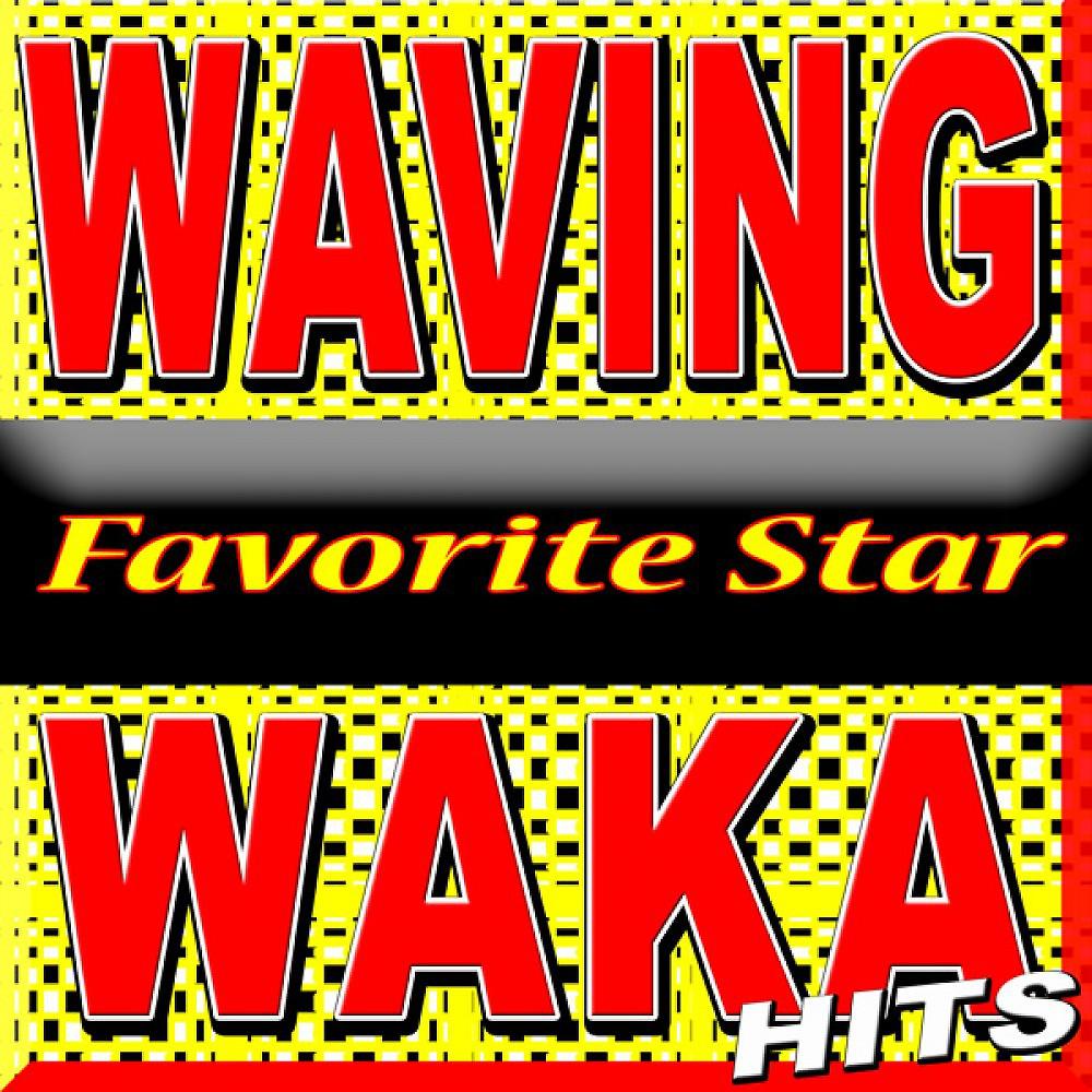 Постер альбома Waving Waka Hits (Soccer Football Stadion Fan Hits)