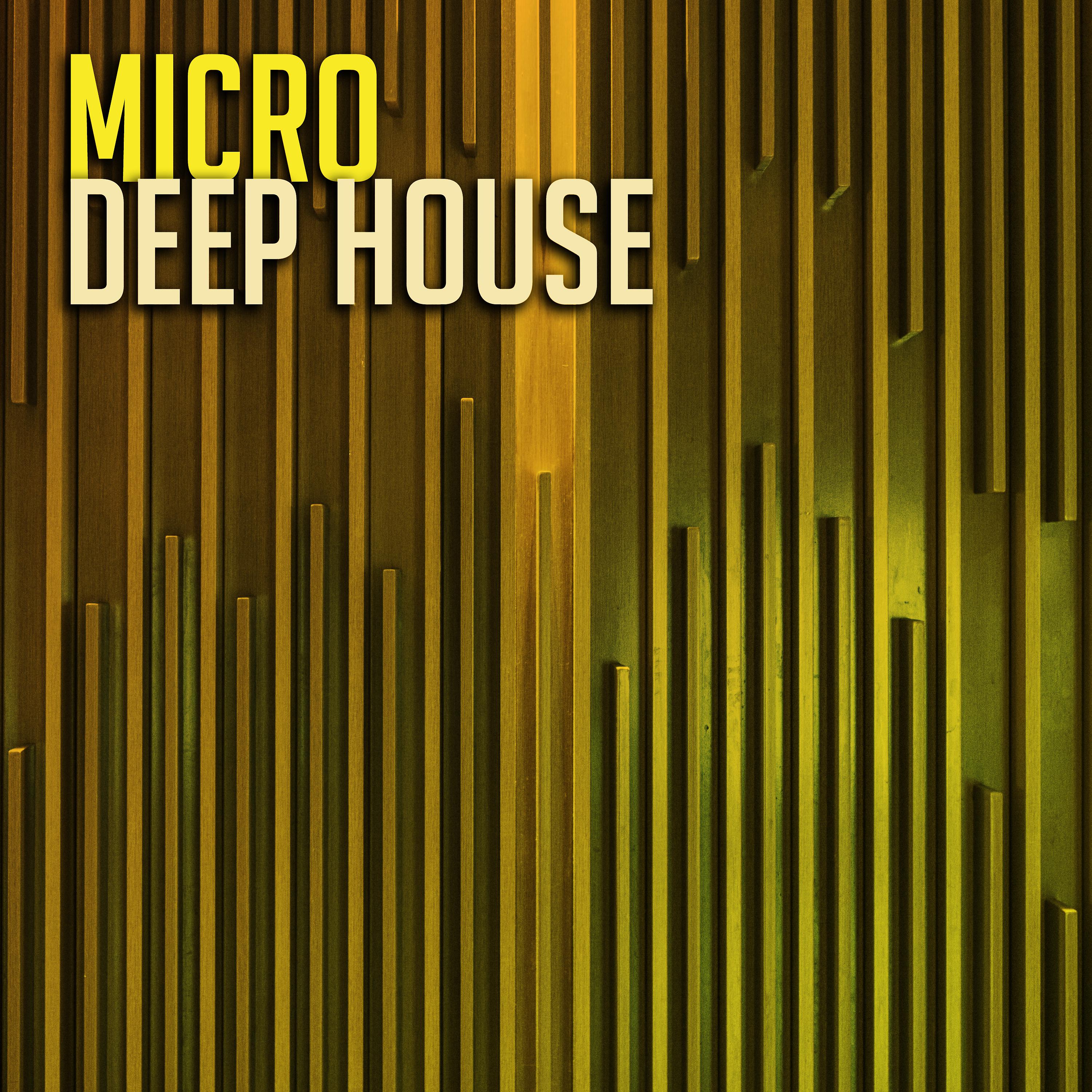 Постер альбома Micro Deep House