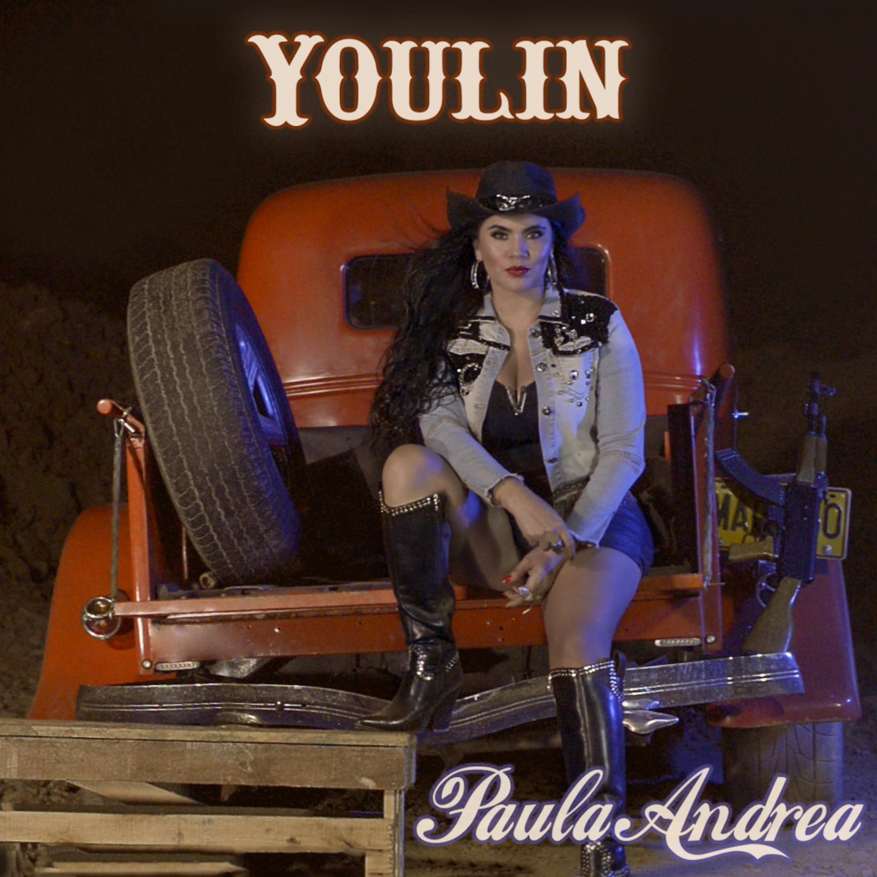 Постер альбома Youlín