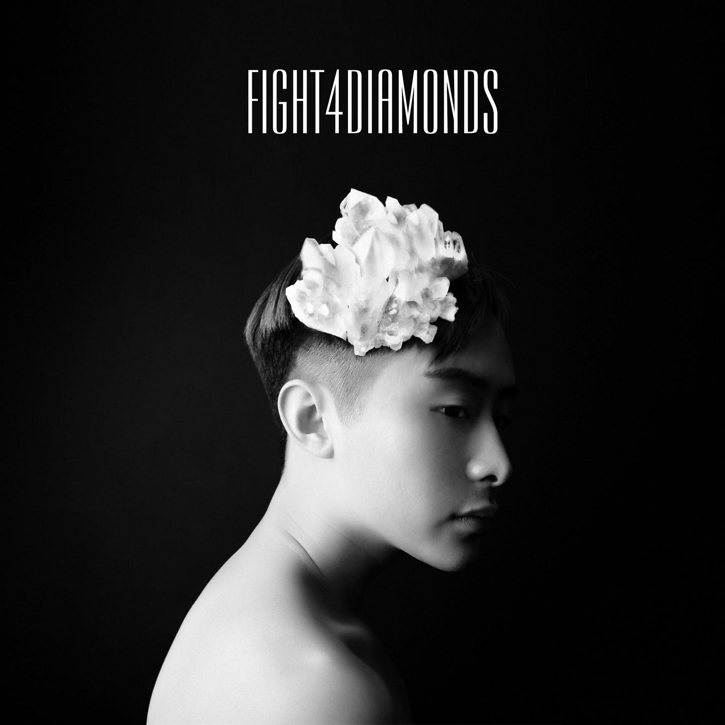 Постер альбома Fight 4 Diamonds