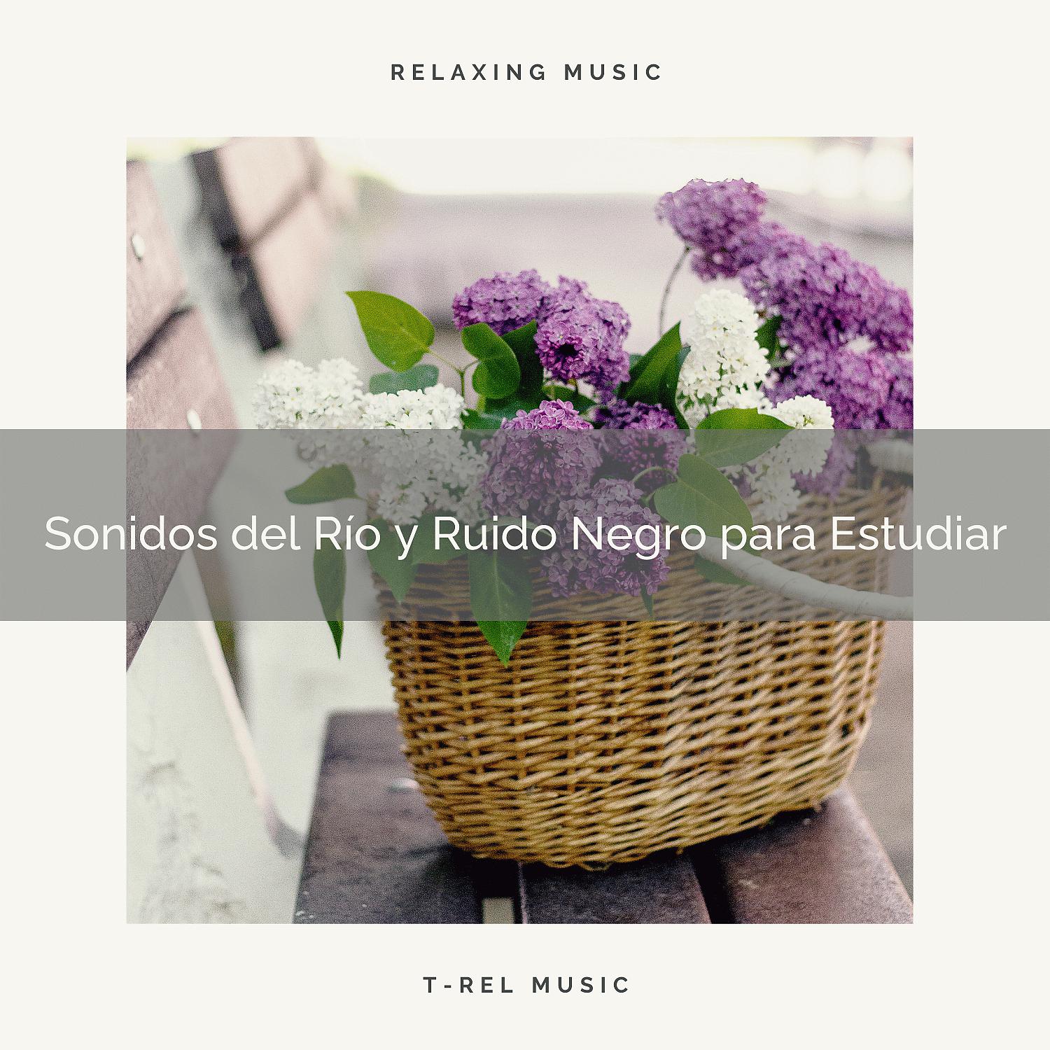 Постер альбома Sonidos del Río y Ruido Negro para Estudiar