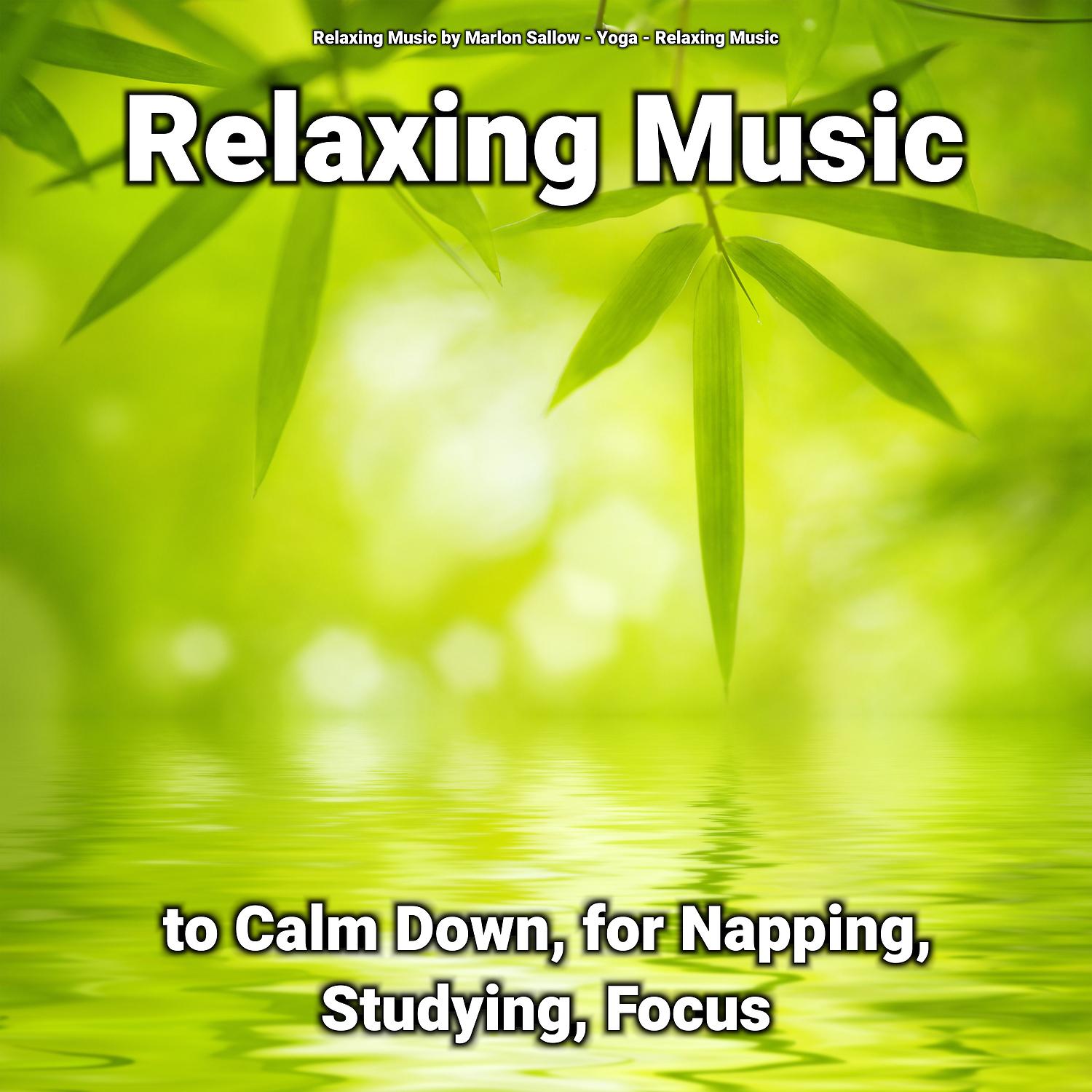 Постер альбома Relaxing Music to Calm Down, for Napping, Studying, Focus