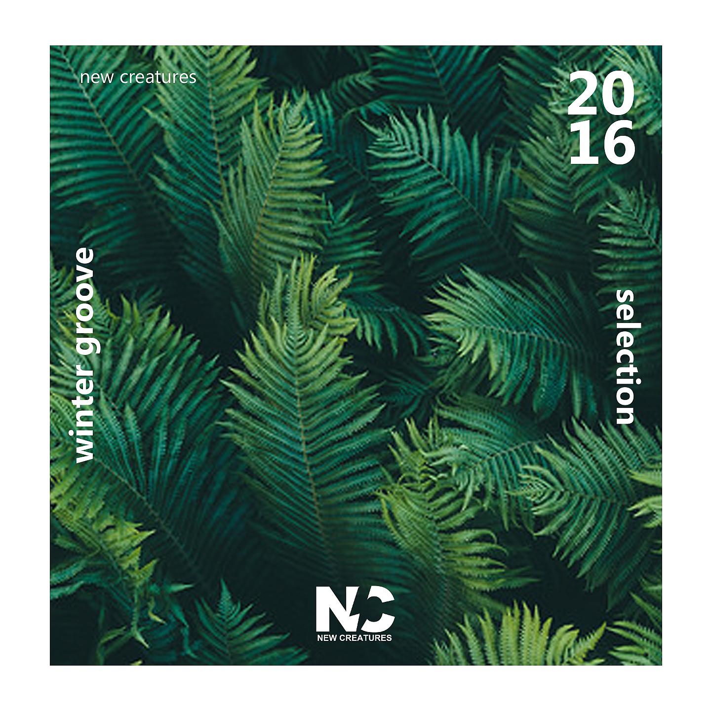 Постер альбома Winter Groove Selection 2016