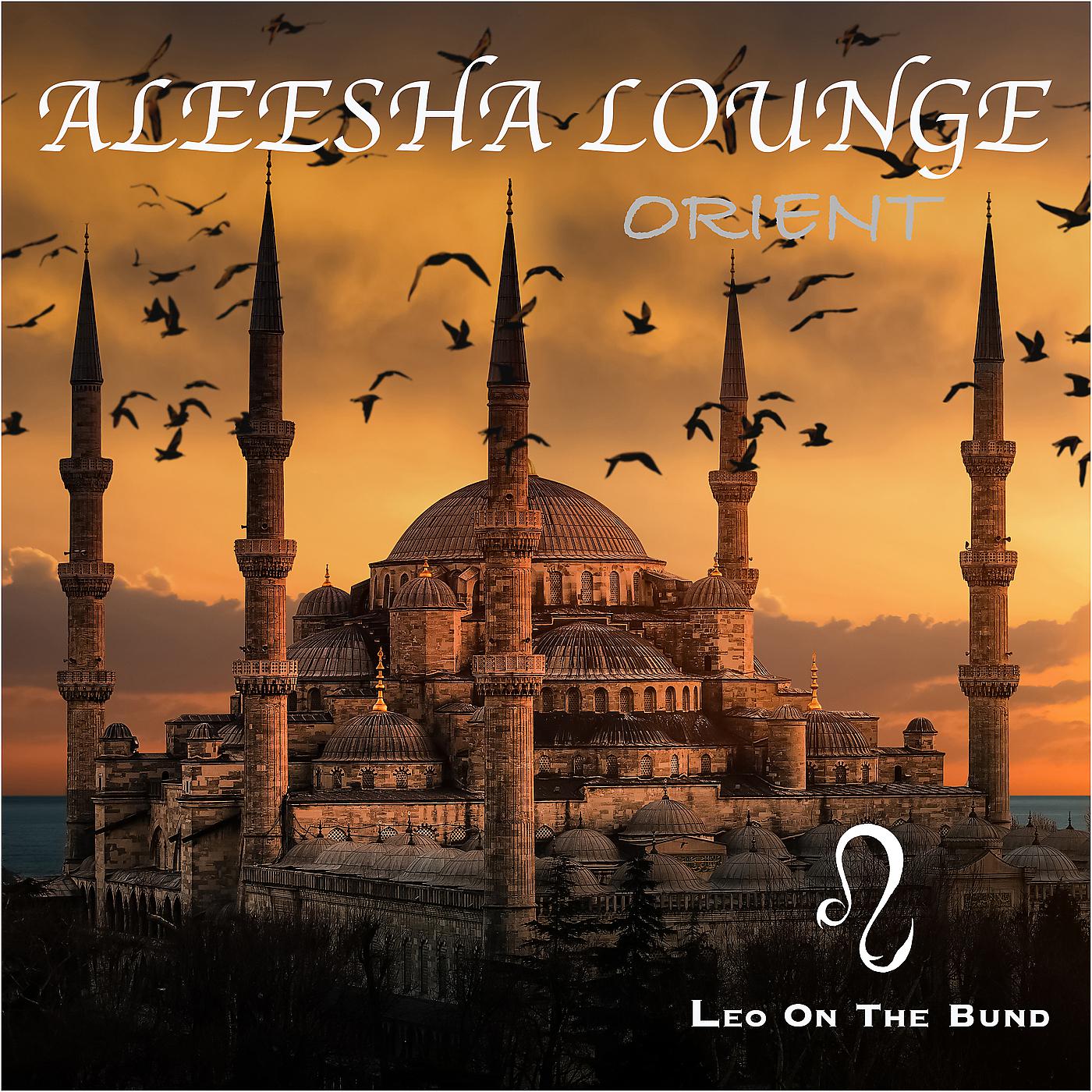 Постер альбома Aleesha Lounge: Orient