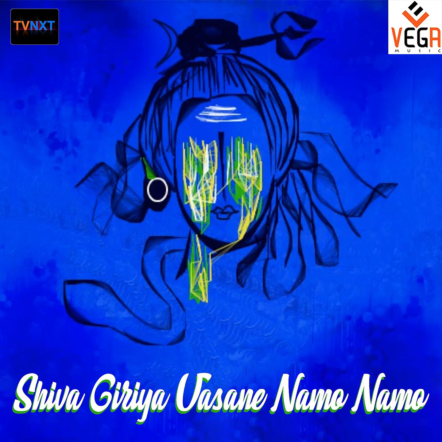 Постер альбома Shiva Giriya Vasane Namo Namo, Pt. 2