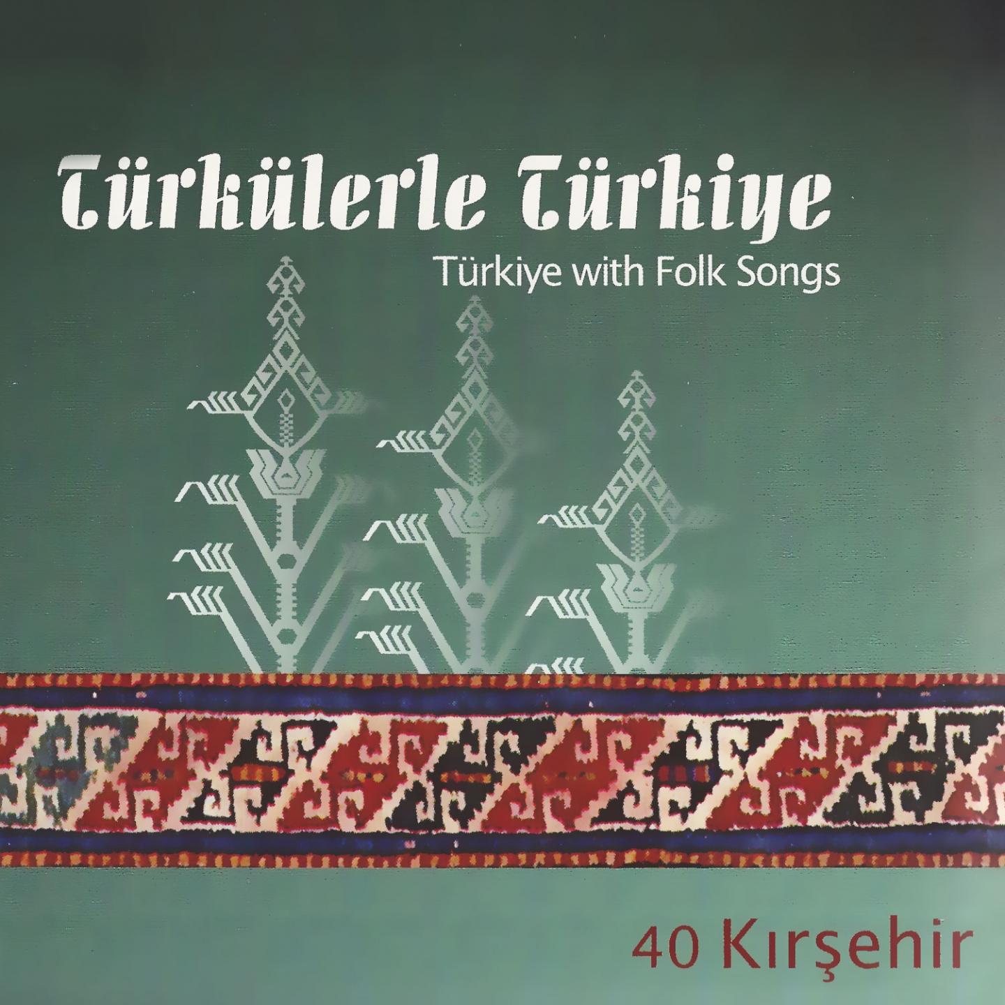 Постер альбома Türkülerle Türkiye, Vol. 40