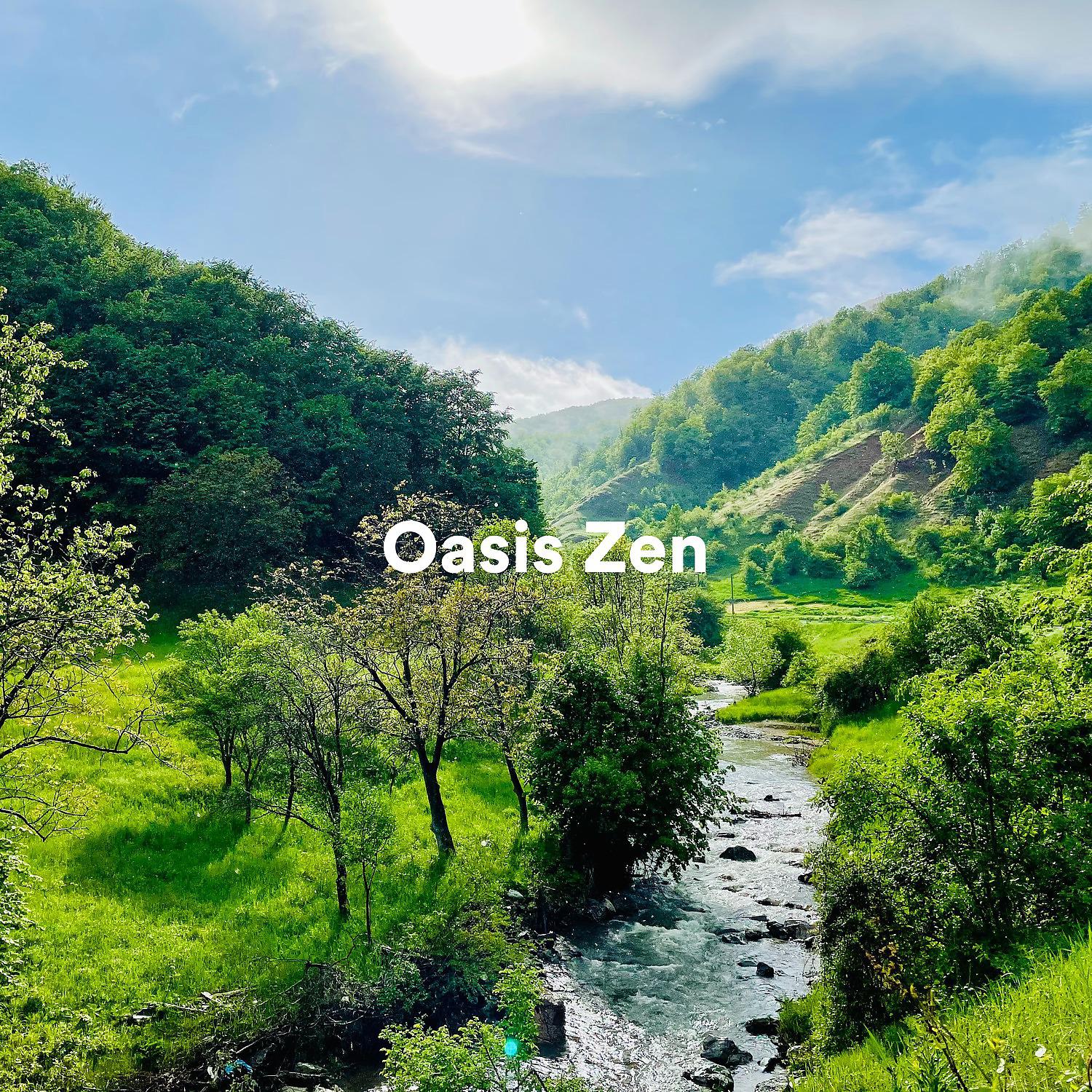 Постер альбома Oasis Zen