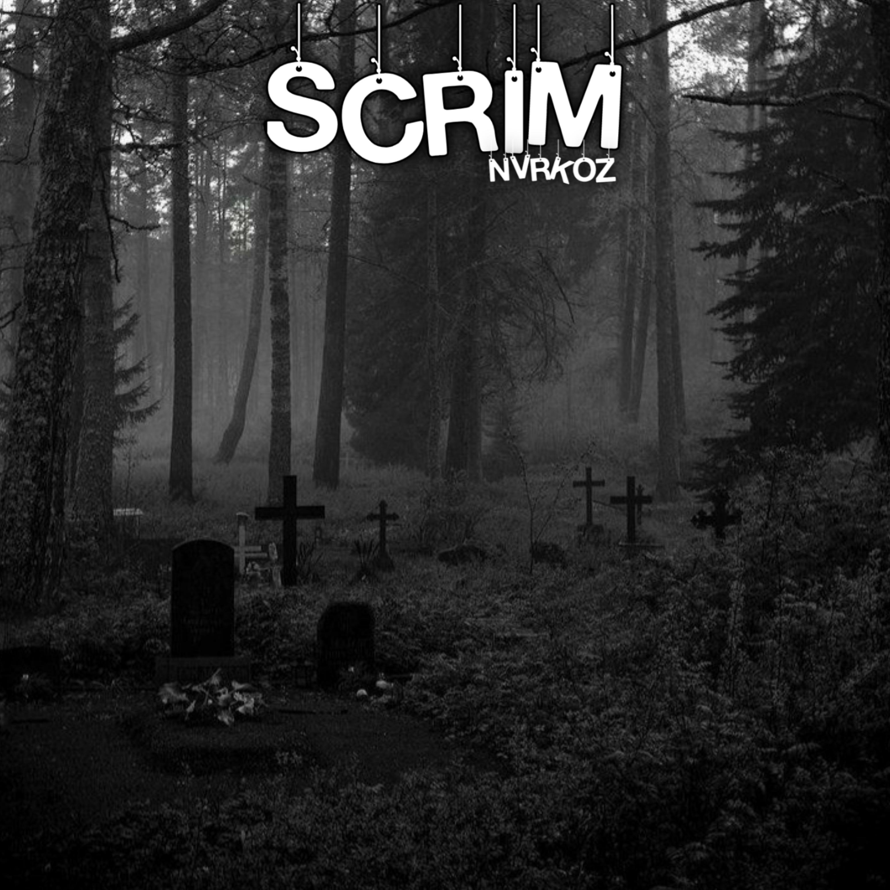 Постер альбома Scrim