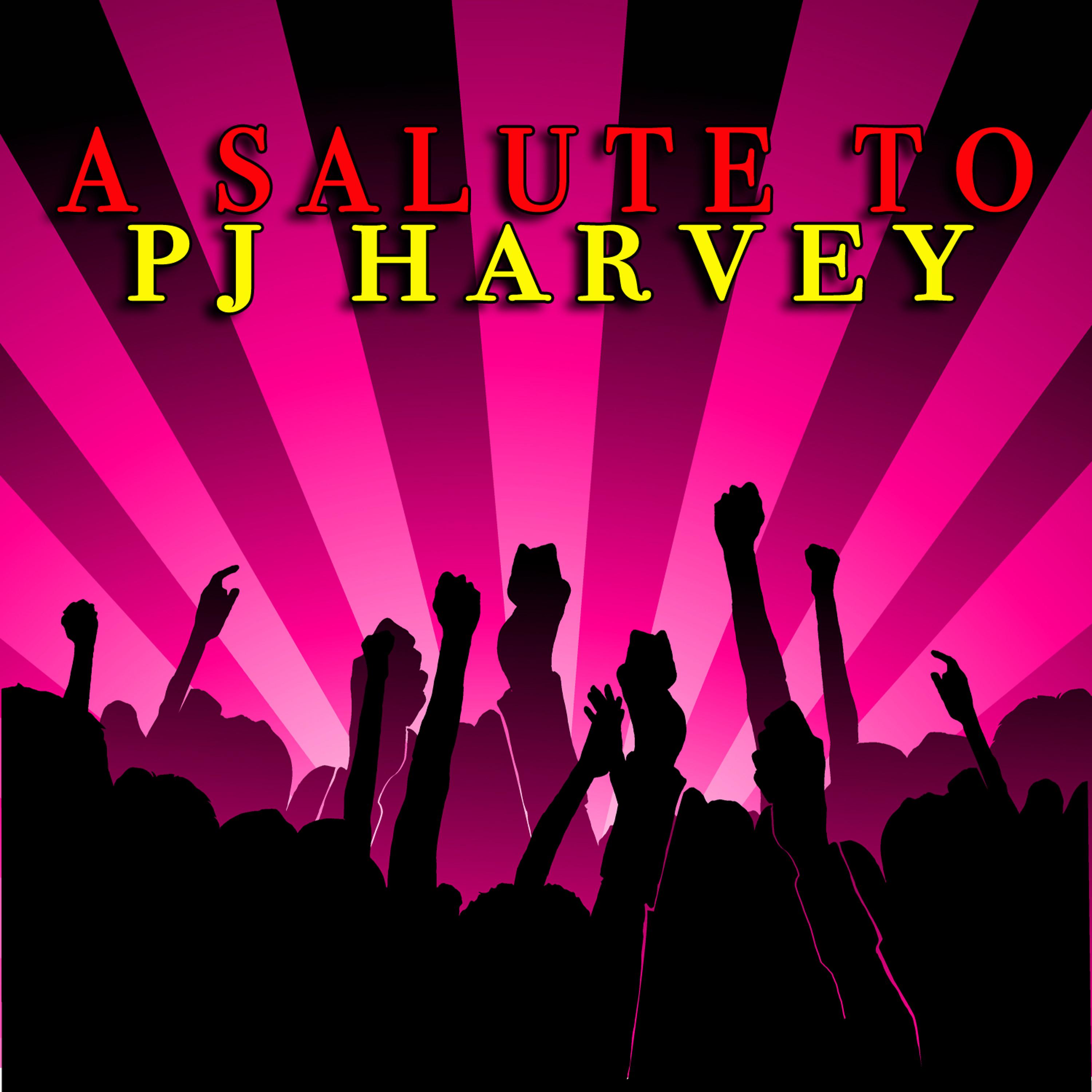 Постер альбома A Salute To PJ Harvey