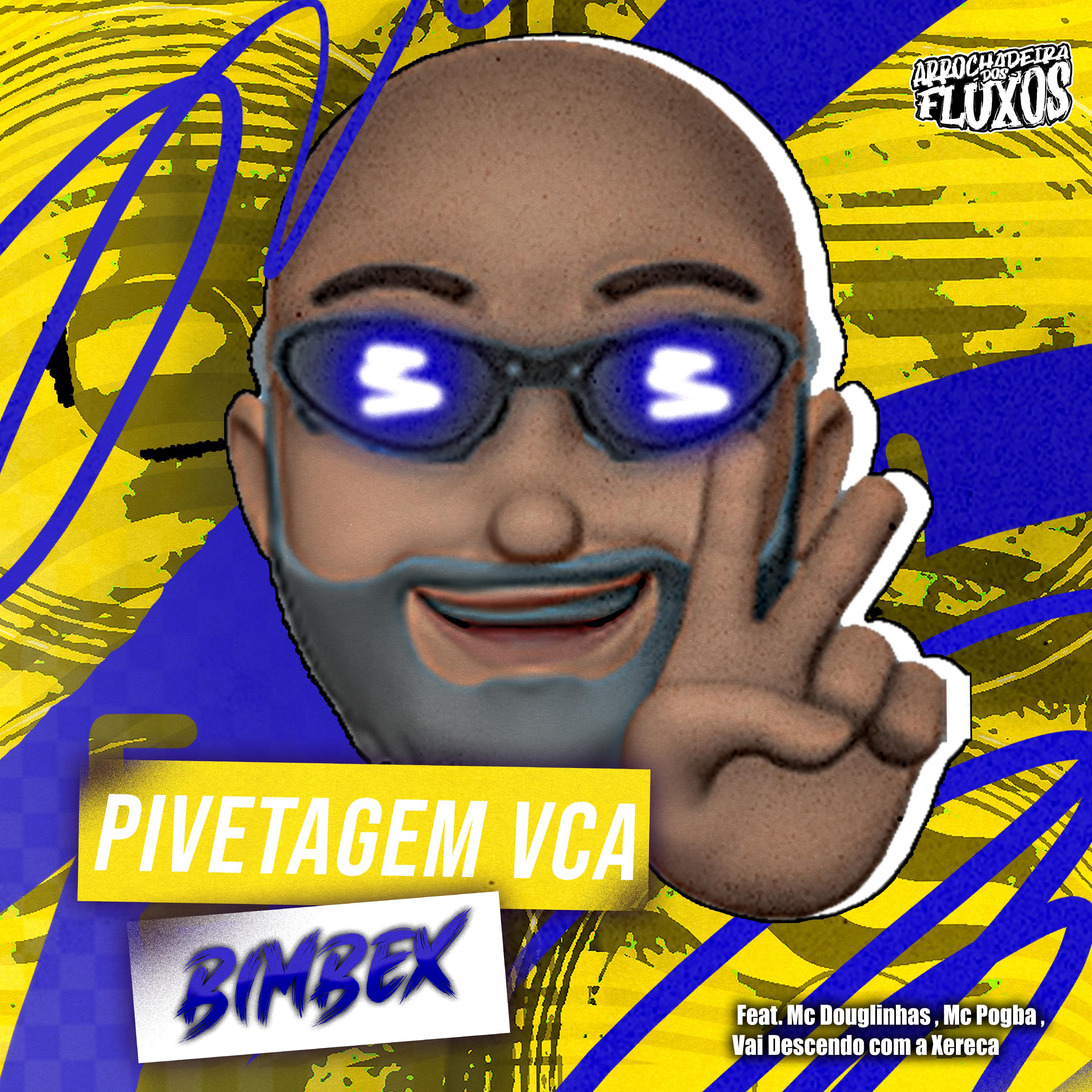 Постер альбома Pivetagem Vca - Vai Descendo Com a Xereca