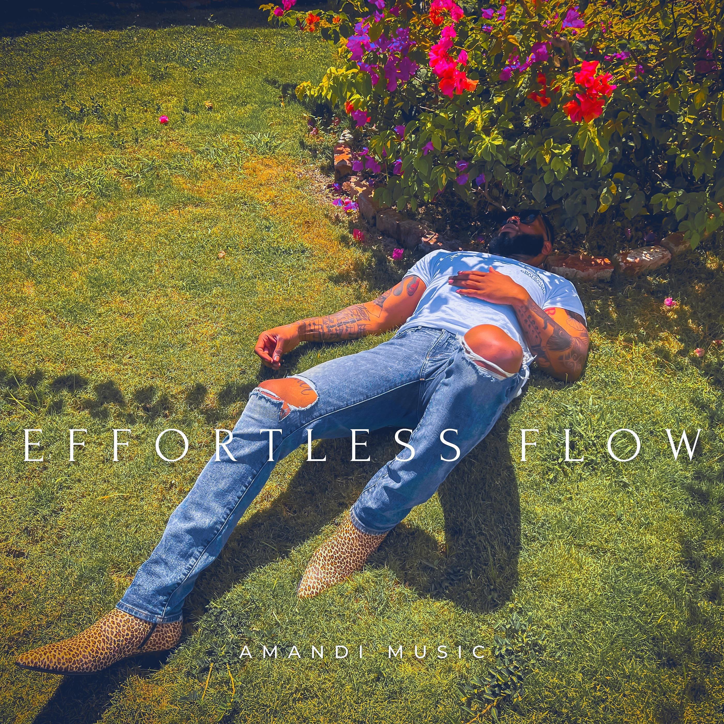 Постер альбома Effortless Flow