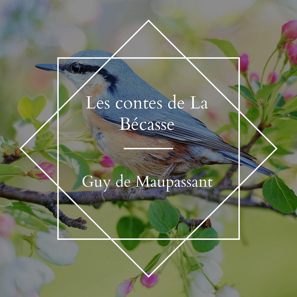 Постер альбома Les contes de La Bécasse
