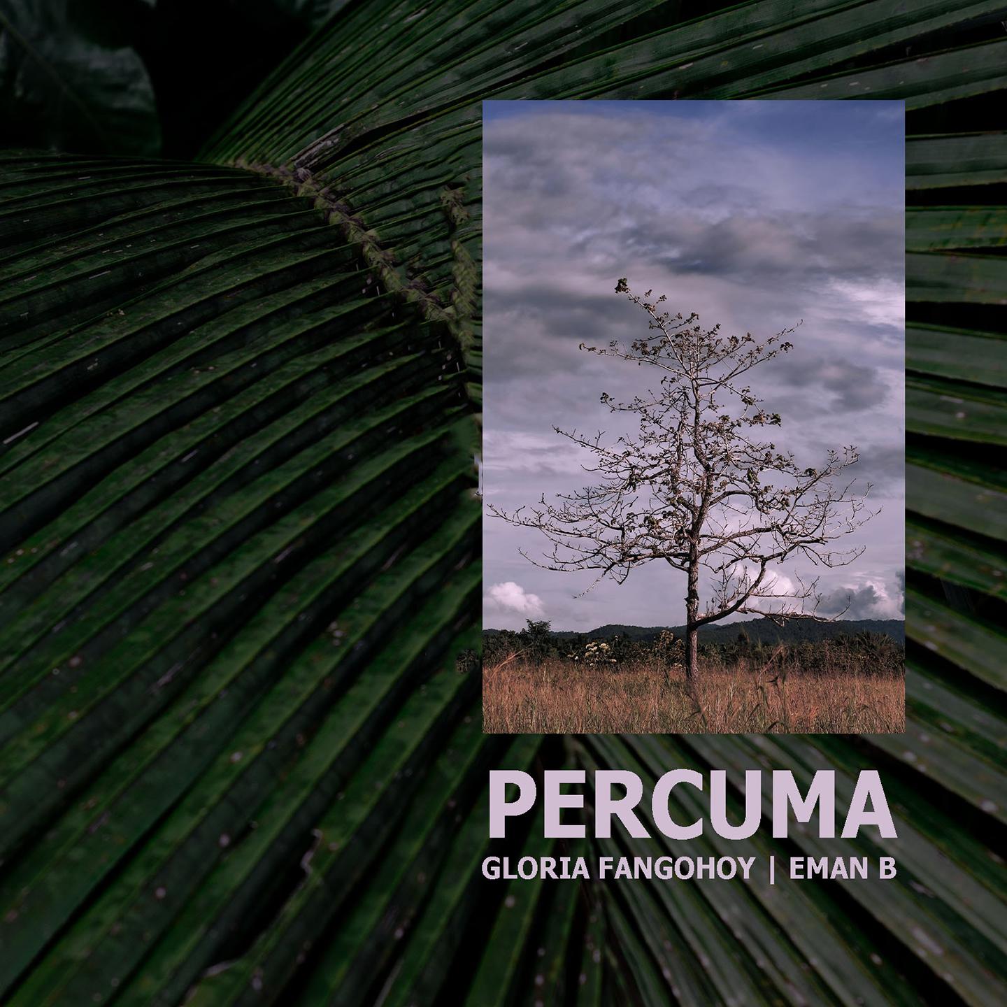 Постер альбома PERCUMA