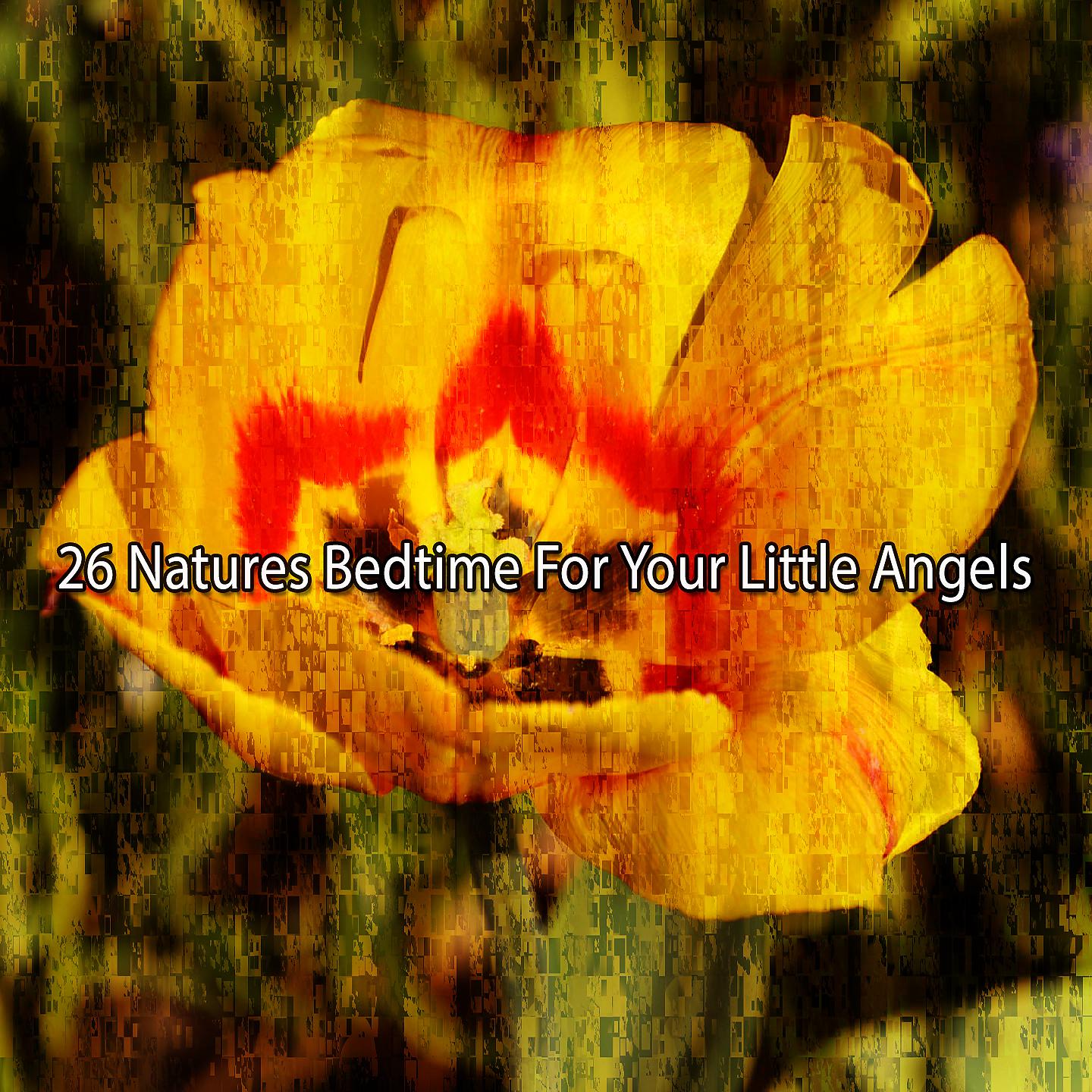 Постер альбома 26 природы перед сном для ваших маленьких ангелов