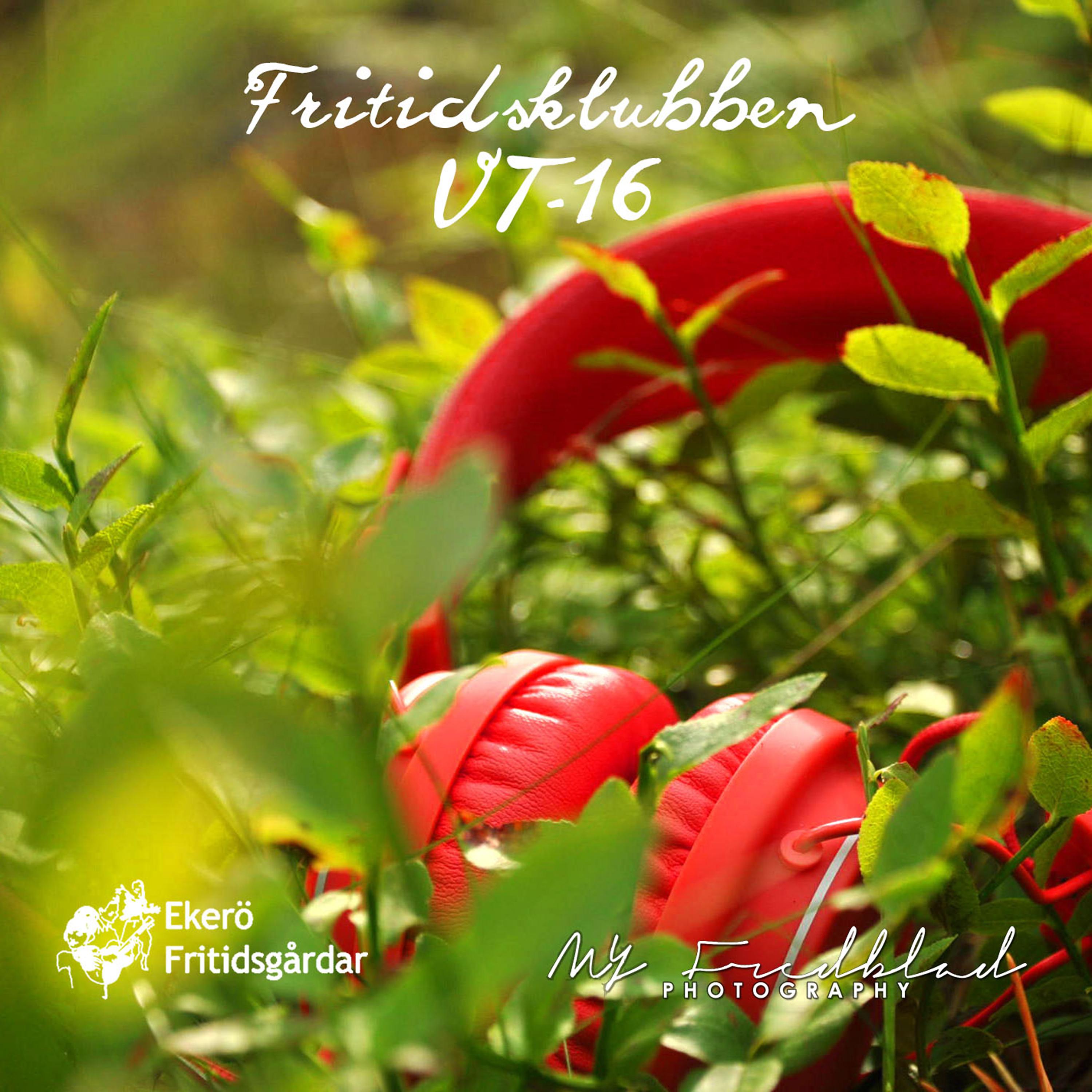 Постер альбома Fritidsklubben - VT16
